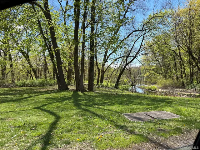 a big yard with lots of green space and trees