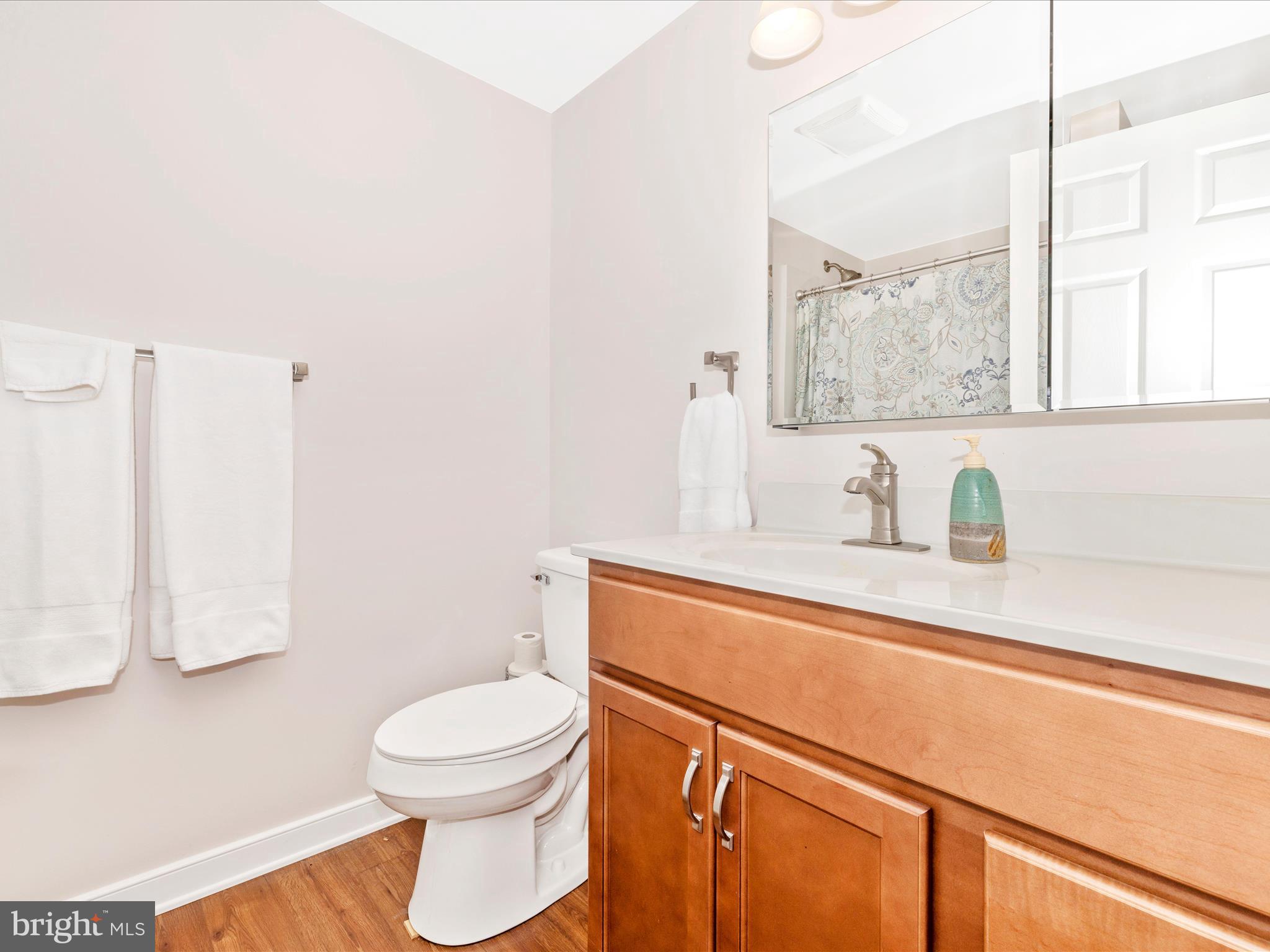 19850 Toms Road Boonsboro, MD 21713 - Photo 33 of 53 Lower Bath