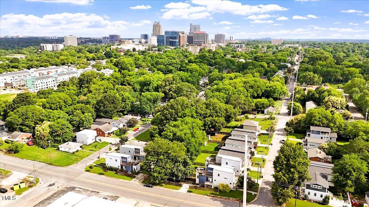 1314 South East Street Raleigh, NC 27601 - Photo 38 of 39 a view of a city