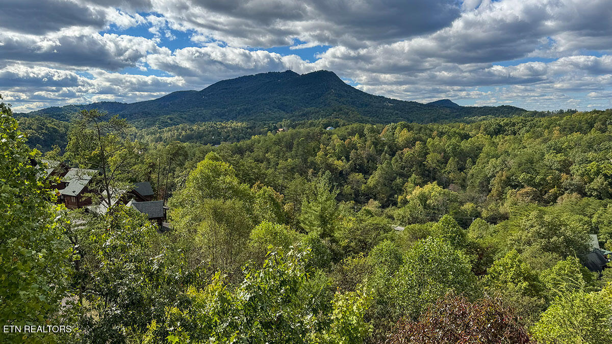 1352 Timberwolf Way Sevierville, TN 37876 - Photo 2 of 41 rental-cabin-02