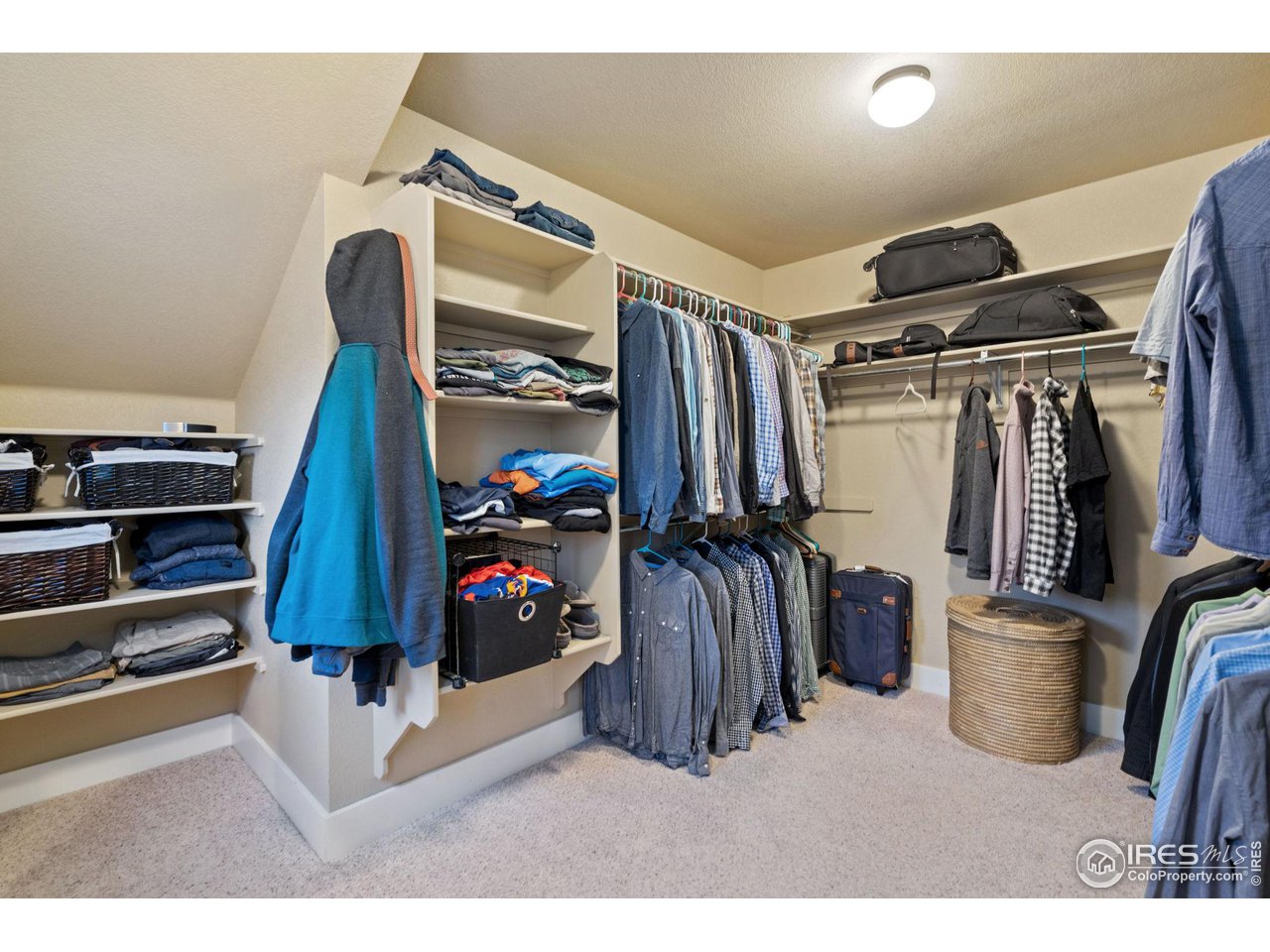 2263 Bellwether Lane Fort Collins, CO 80521 - Photo 22 of 40 a view of walk in closet with clothes and shoes