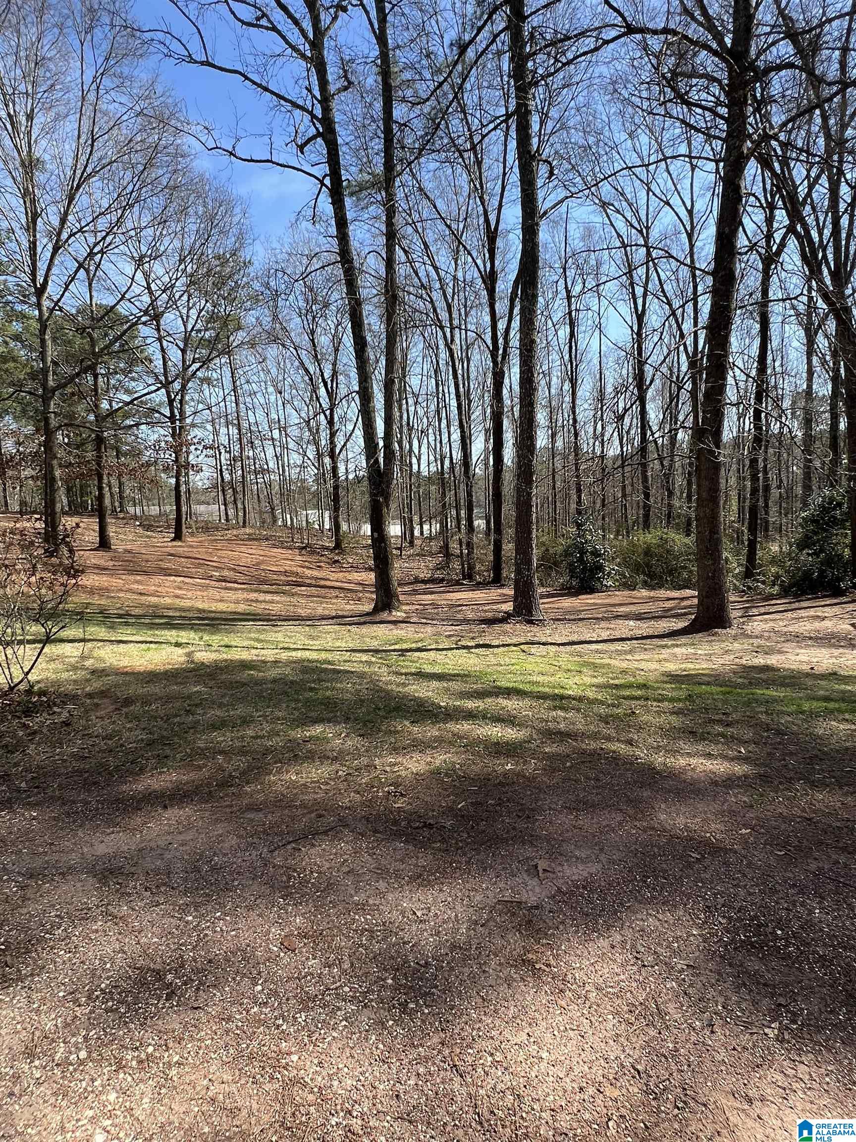 137 Turner Road Alexander City, AL 35010 - Photo 34 of 35
