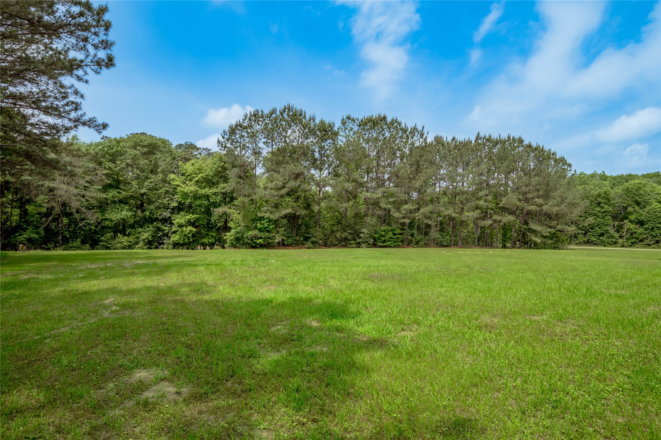 3134 Nursery Road Livingston, TX 77351 - Photo 43 of 50 This is a shot of the side yard.