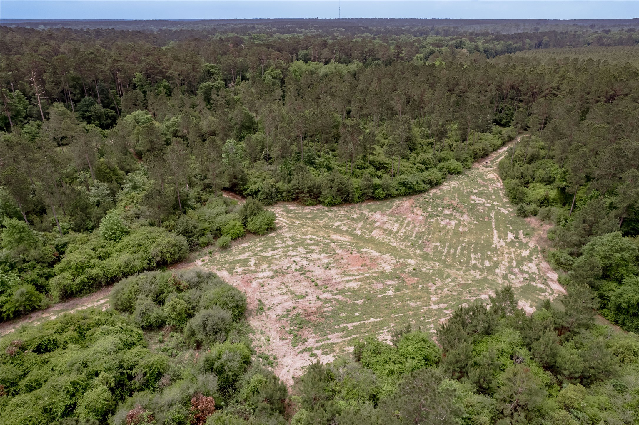 3134 Nursery Road Livingston, TX 77351 - Photo 46 of 50 A closer view of the cleared "hunting" area.