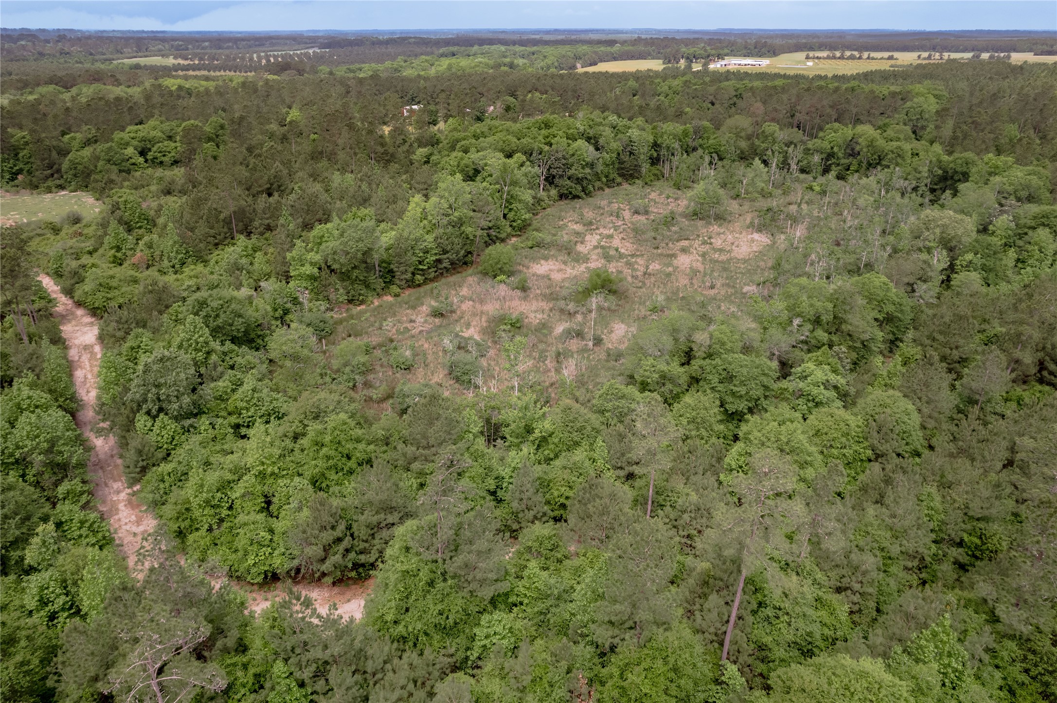 3134 Nursery Road Livingston, TX 77351 - Photo 48 of 50 A closer view of the Mayhaw Pond.