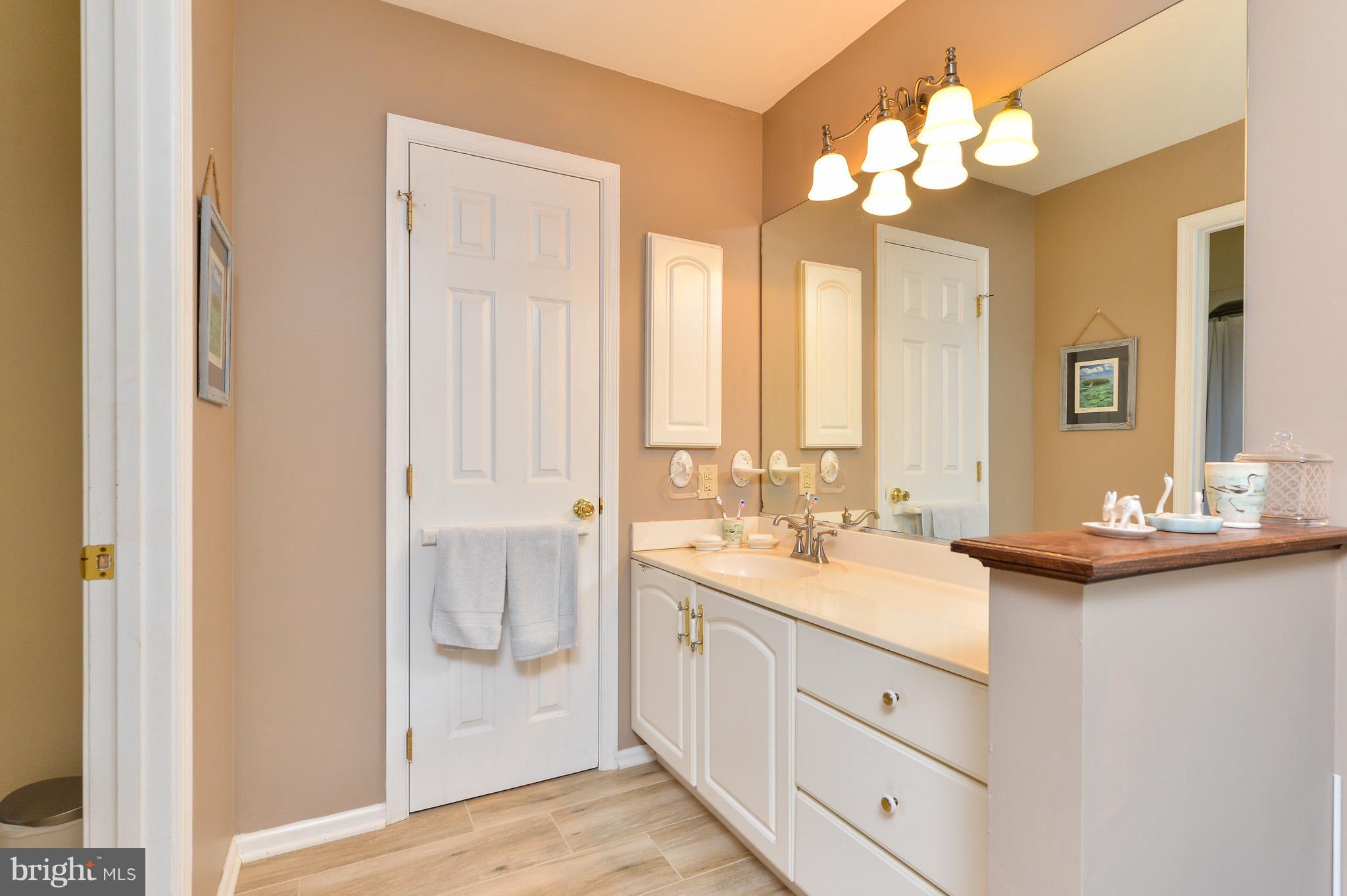 69 Brick Hill Road Elkton, MD 21921 - Photo 11 of 17 Master Bath