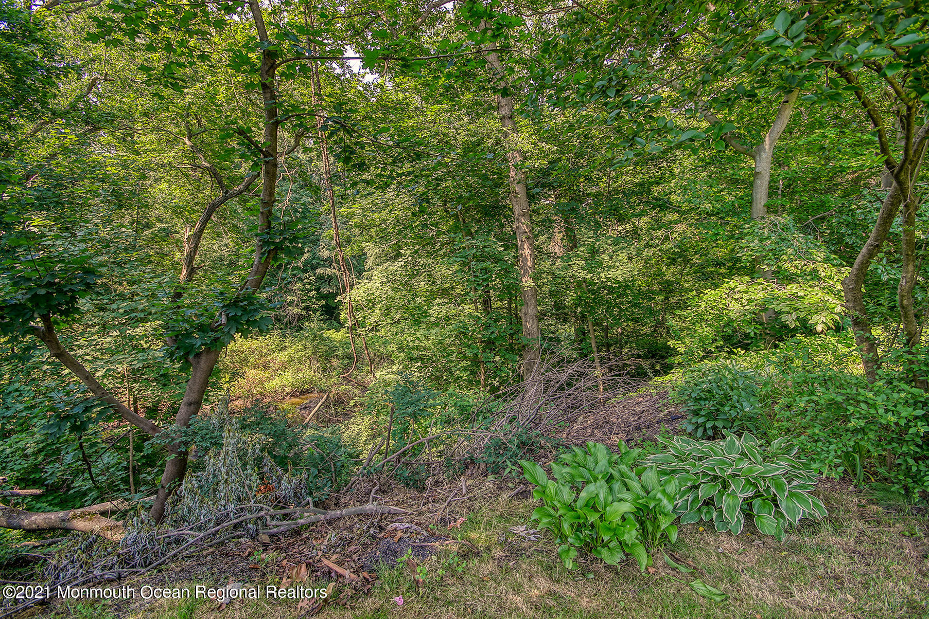 70 Ravine Drive Matawan, NJ 07747 - Photo 16 of 38 JUNI5571