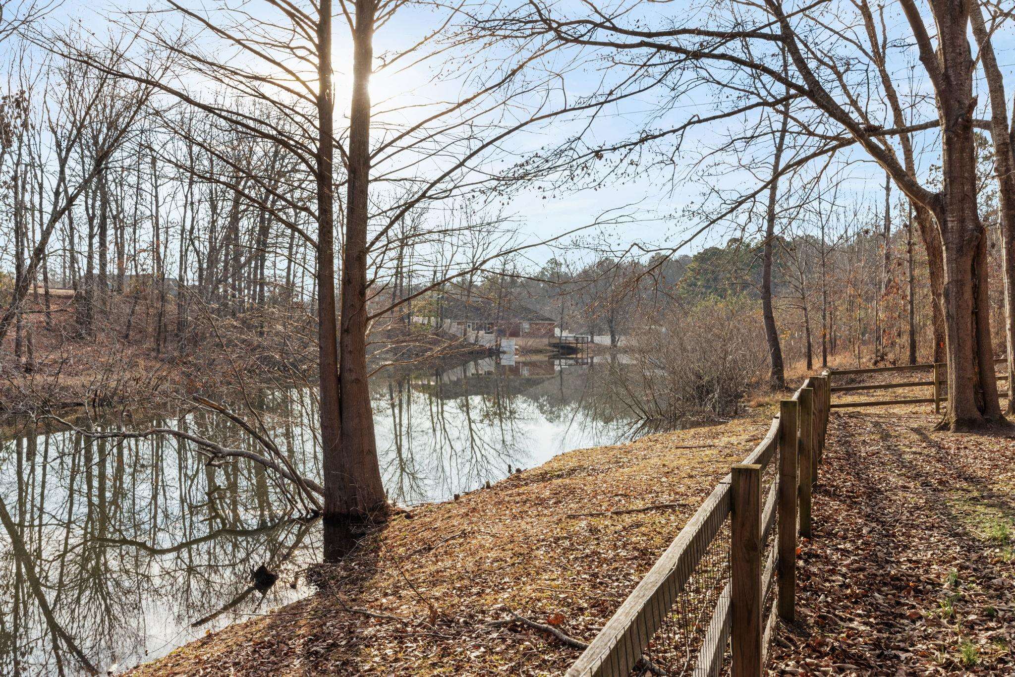 113 Horseshoe Lake Road Saltillo, MS 38866 - Photo 26 of 39 View of water feature