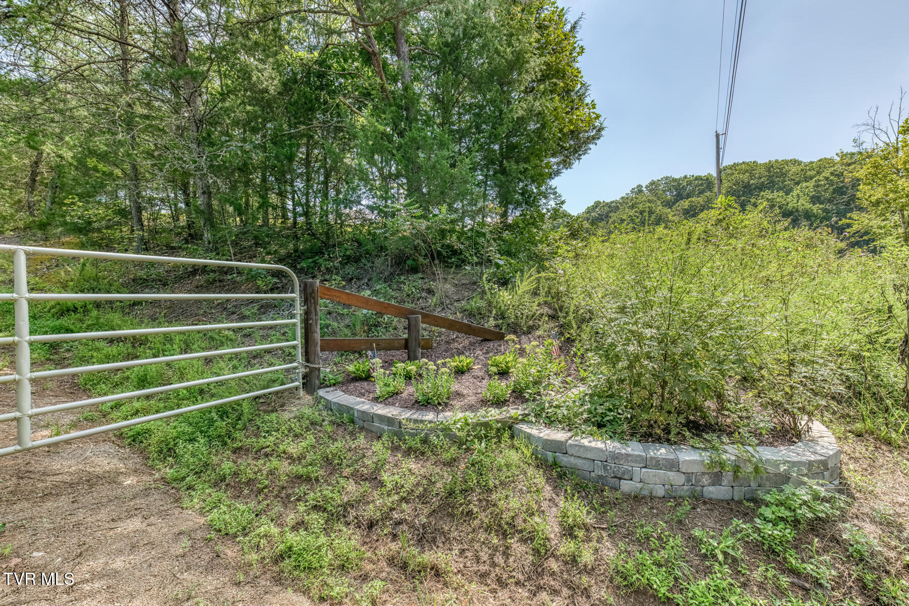 0 Old Cemetery Road Greeneville, TN 37745 - Photo 5 of 37 280 Old Cemetery Rd-8