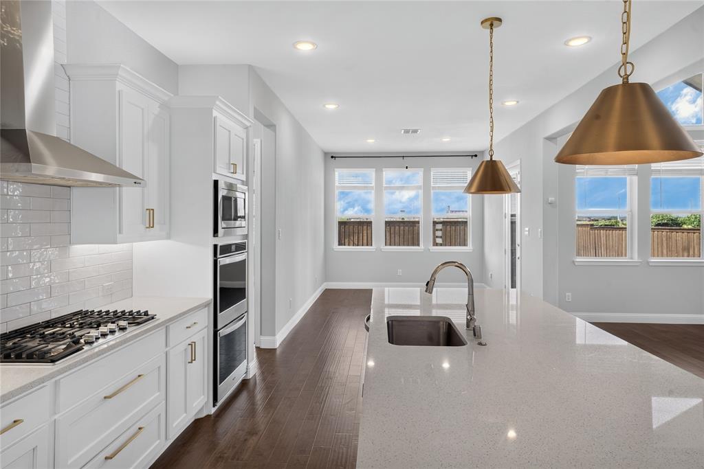 2528 Horsetail Road Frisco, TX 75033 - Photo 14 of 39 Premium finishes!