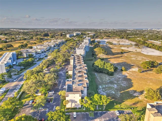 a view of a sign under a palm tree