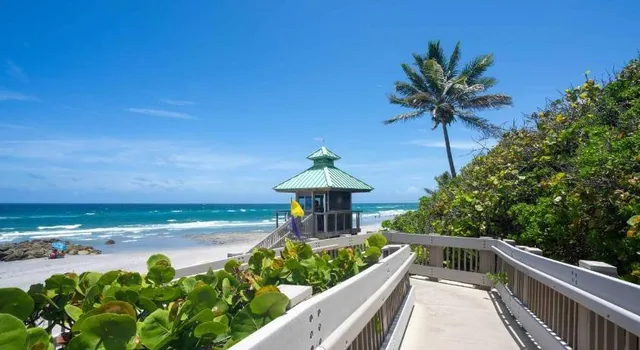 a view of a ocean with a garden