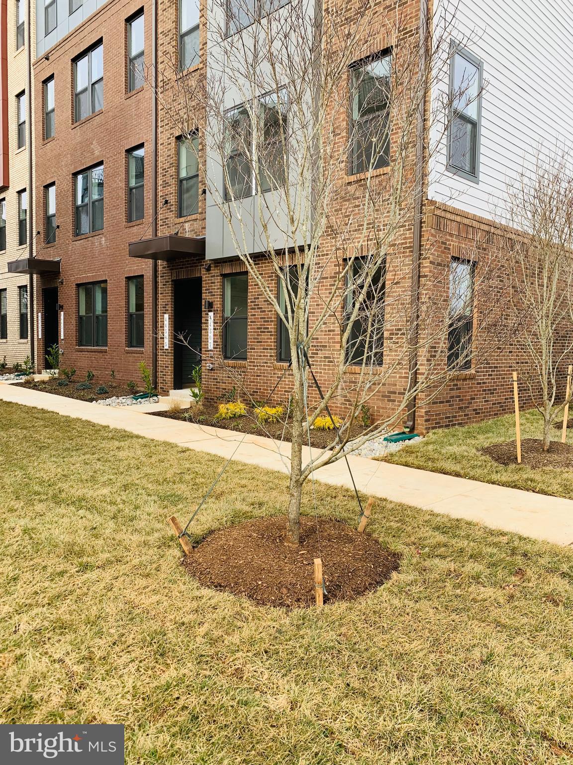 44507 Wolfhound Square Ashburn, VA 20147 - Photo 3 of 51 End Condo w/Covered Front Entry