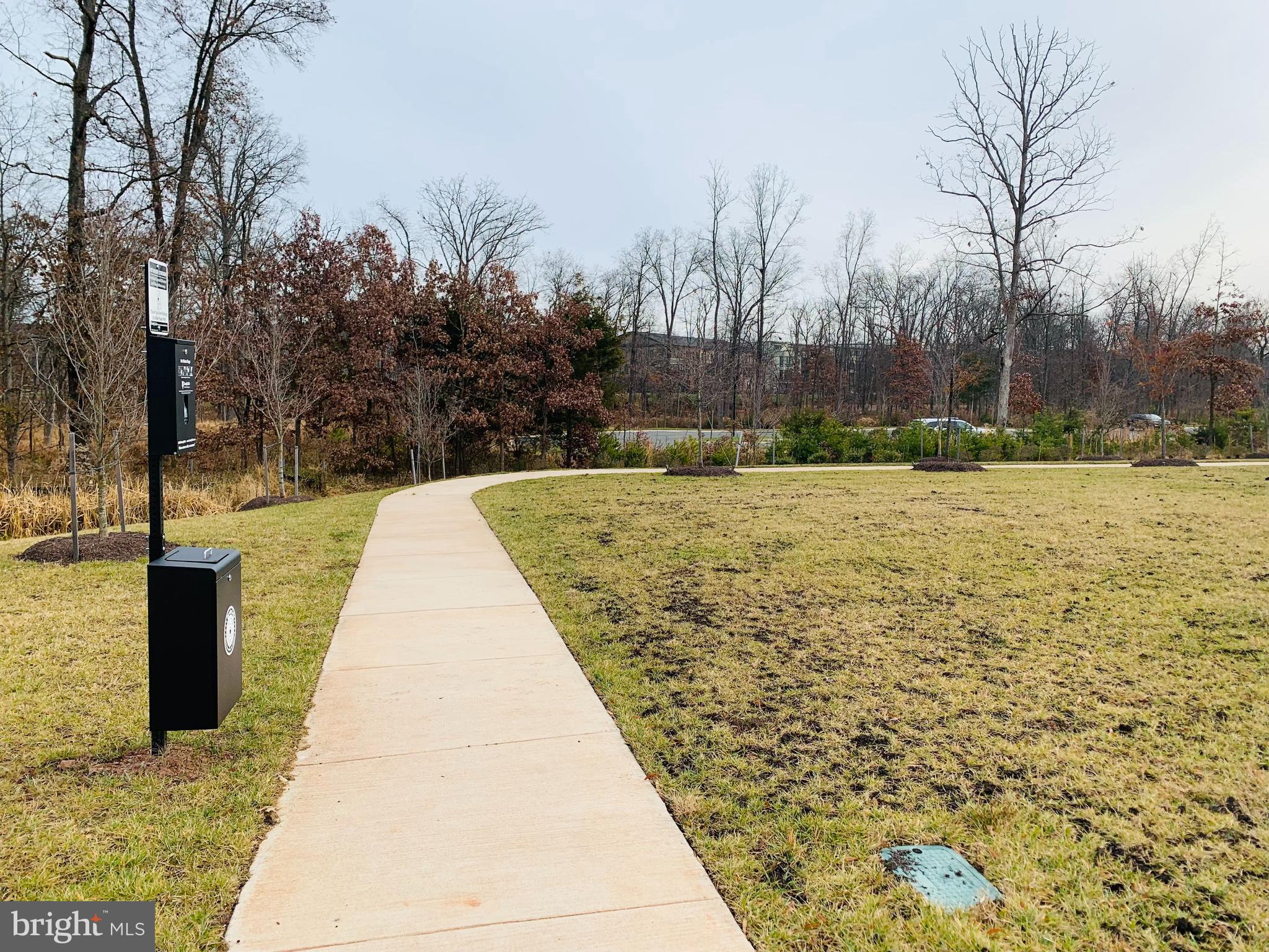 44507 Wolfhound Square Ashburn, VA 20147 - Photo 46 of 51 Sub-Division Views