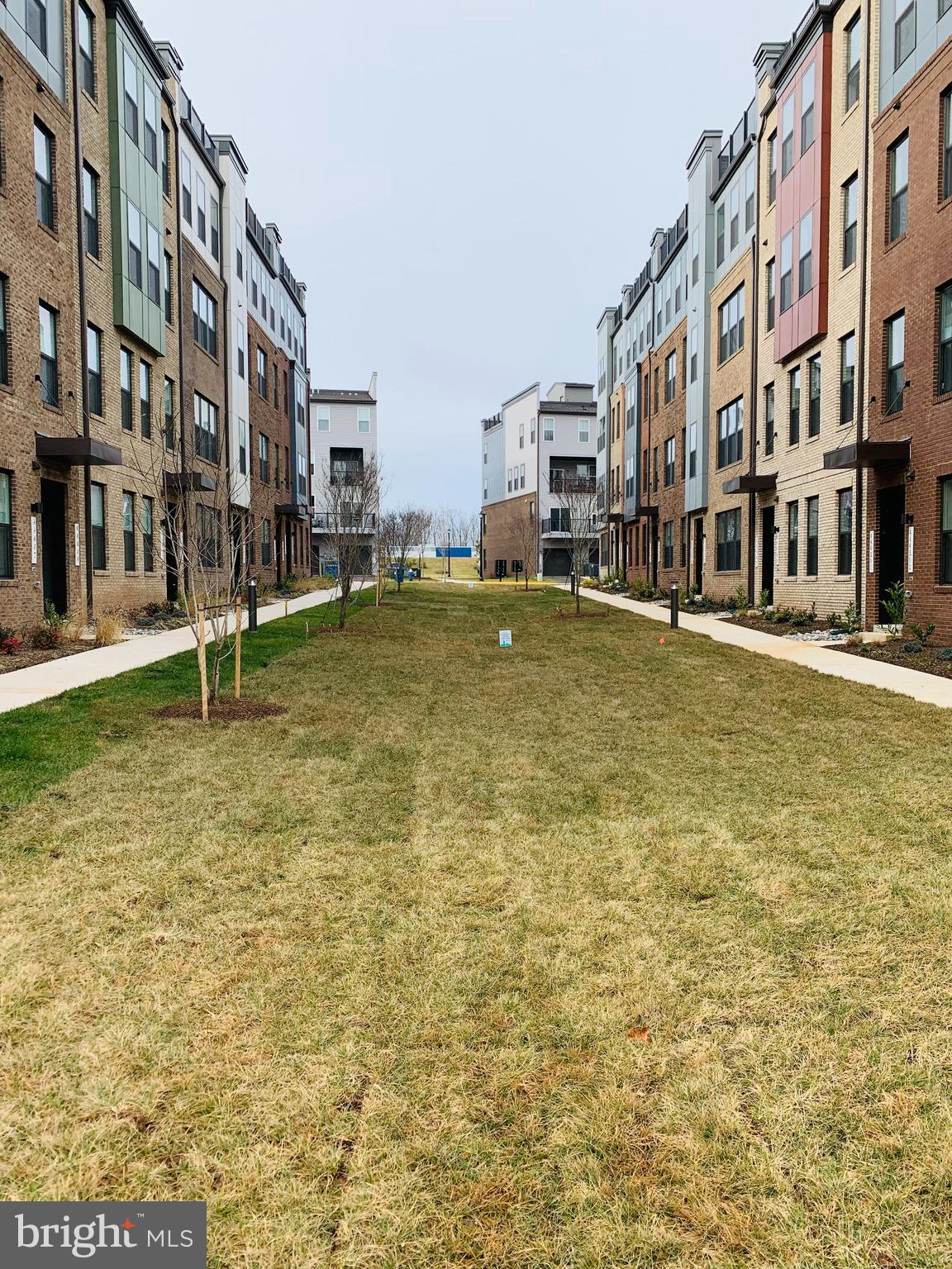 44507 Wolfhound Square Ashburn, VA 20147 - Photo 6 of 51 Fronts to Common Grassy Area