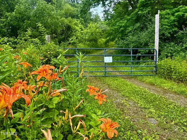 $699,900 | 131 Gibson Hollow Road, Eidson, TN 37731