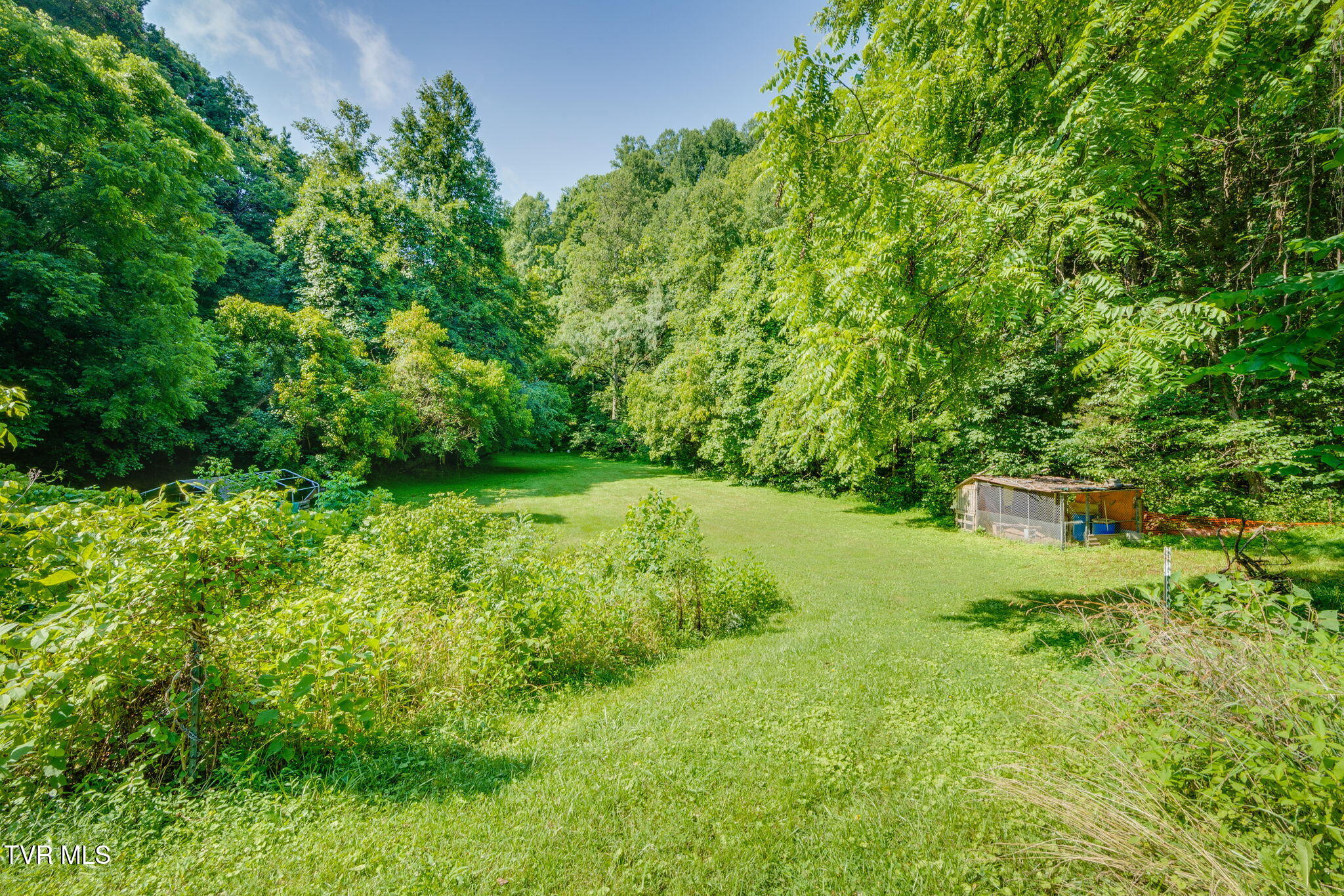 131 Gibson Hollow Road Eidson, TN 37731 - Photo 36 of 102 _Pic36 (32)
