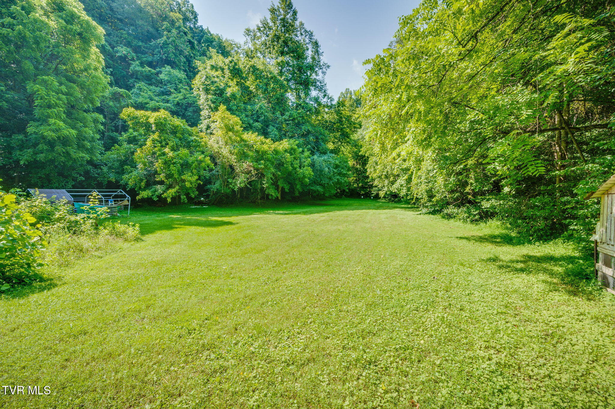 131 Gibson Hollow Road Eidson, TN 37731 - Photo 37 of 102 _Pic37 (31)