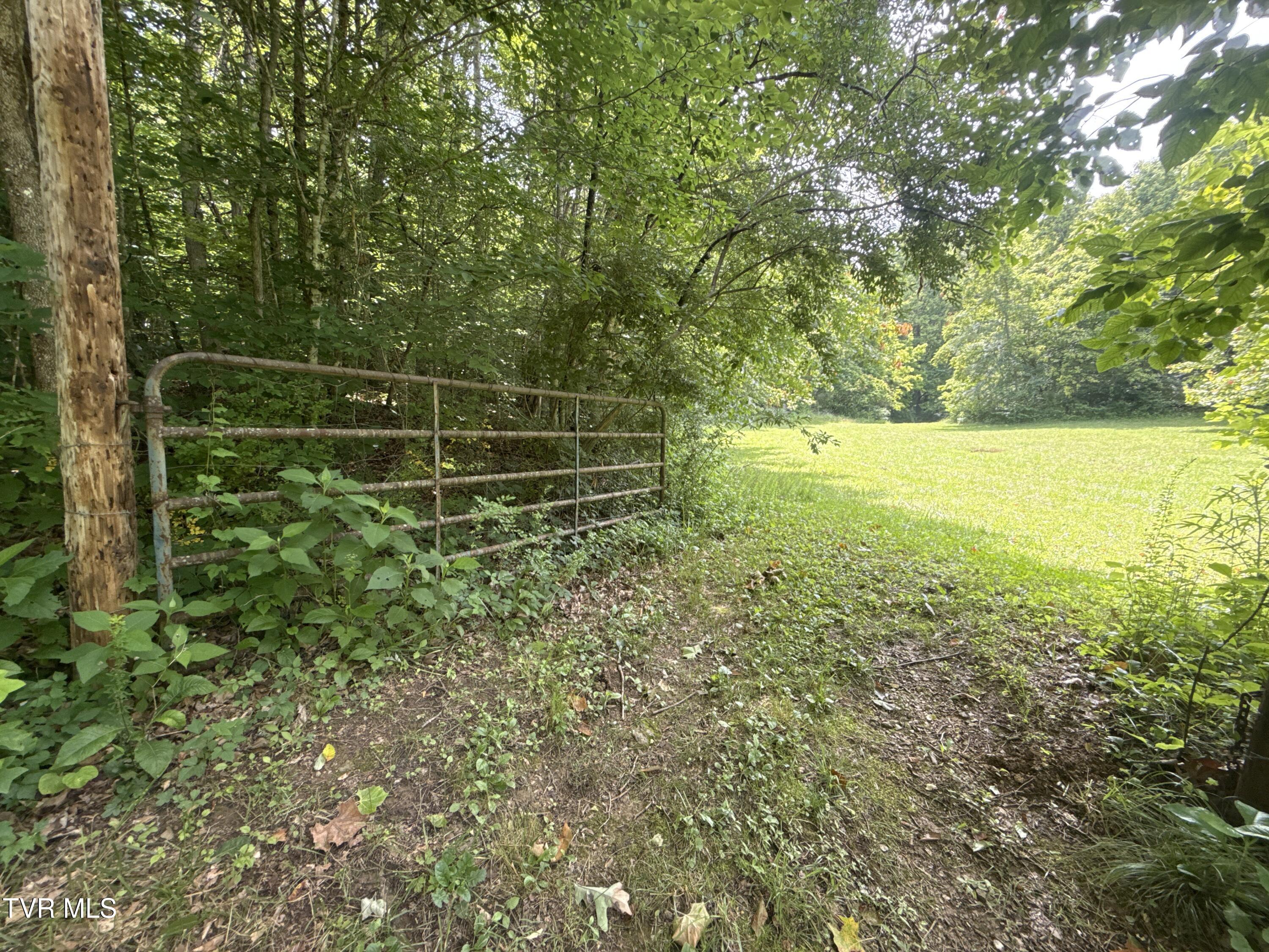 131 Gibson Hollow Road Eidson, TN 37731 - Photo 39 of 102 _Pic39 (28)