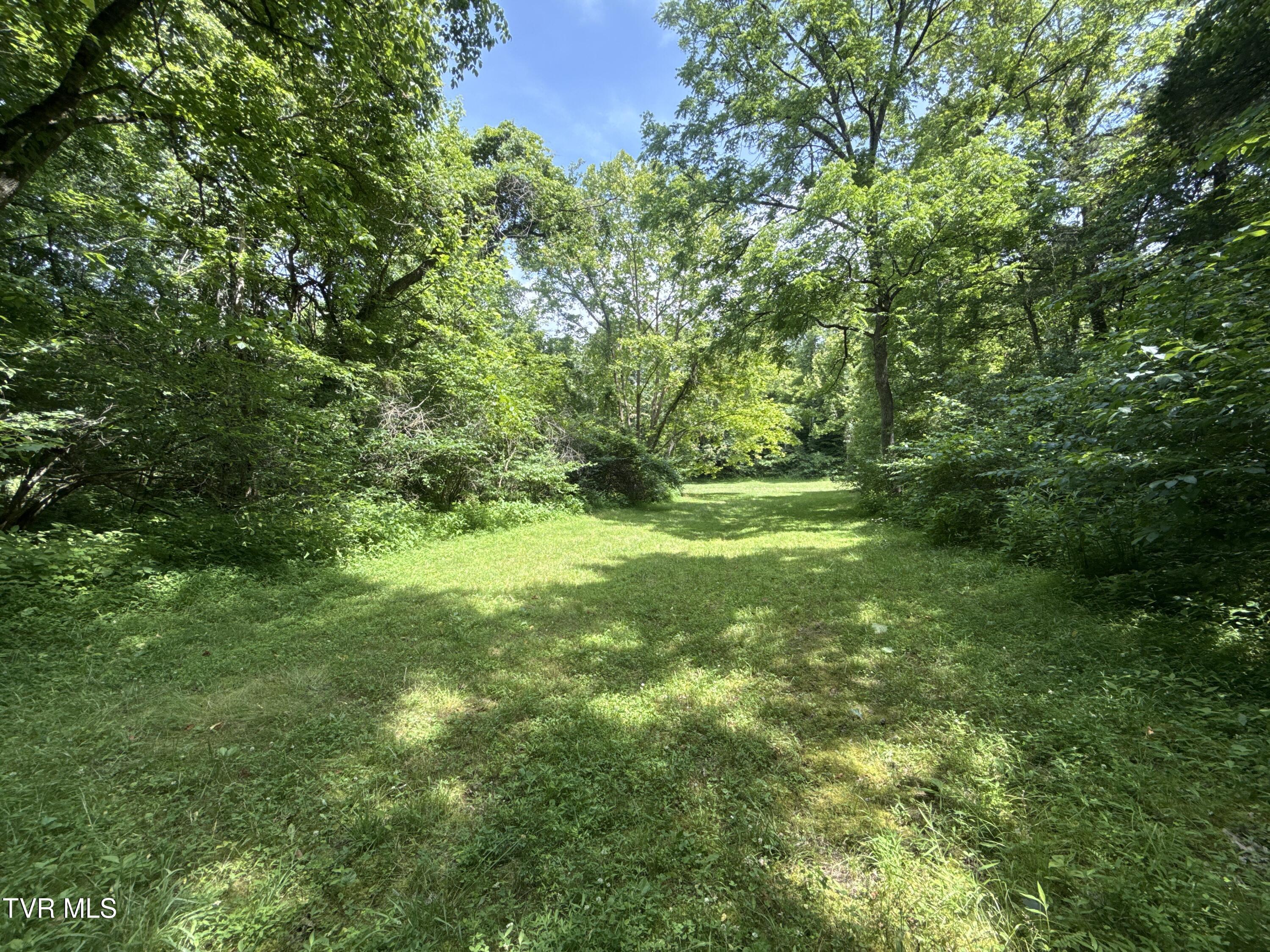 131 Gibson Hollow Road Eidson, TN 37731 - Photo 40 of 102 _Pic40 (26)