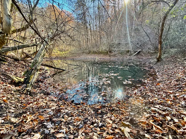 $699,900 | 131 Gibson Hollow Road, Eidson, TN 37731