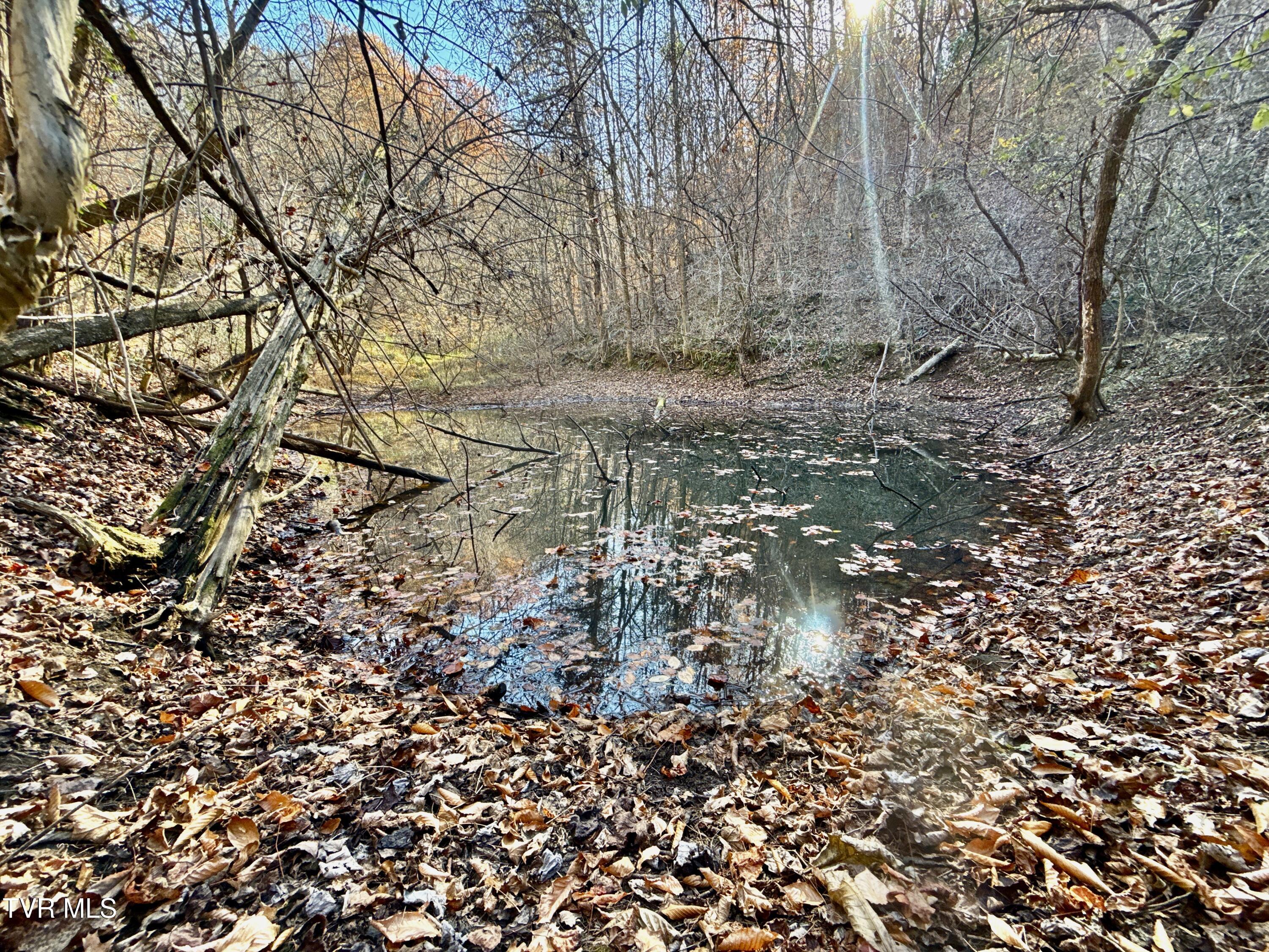 131 Gibson Hollow Road Eidson, TN 37731 - Photo 4 of 102 IMG_7446