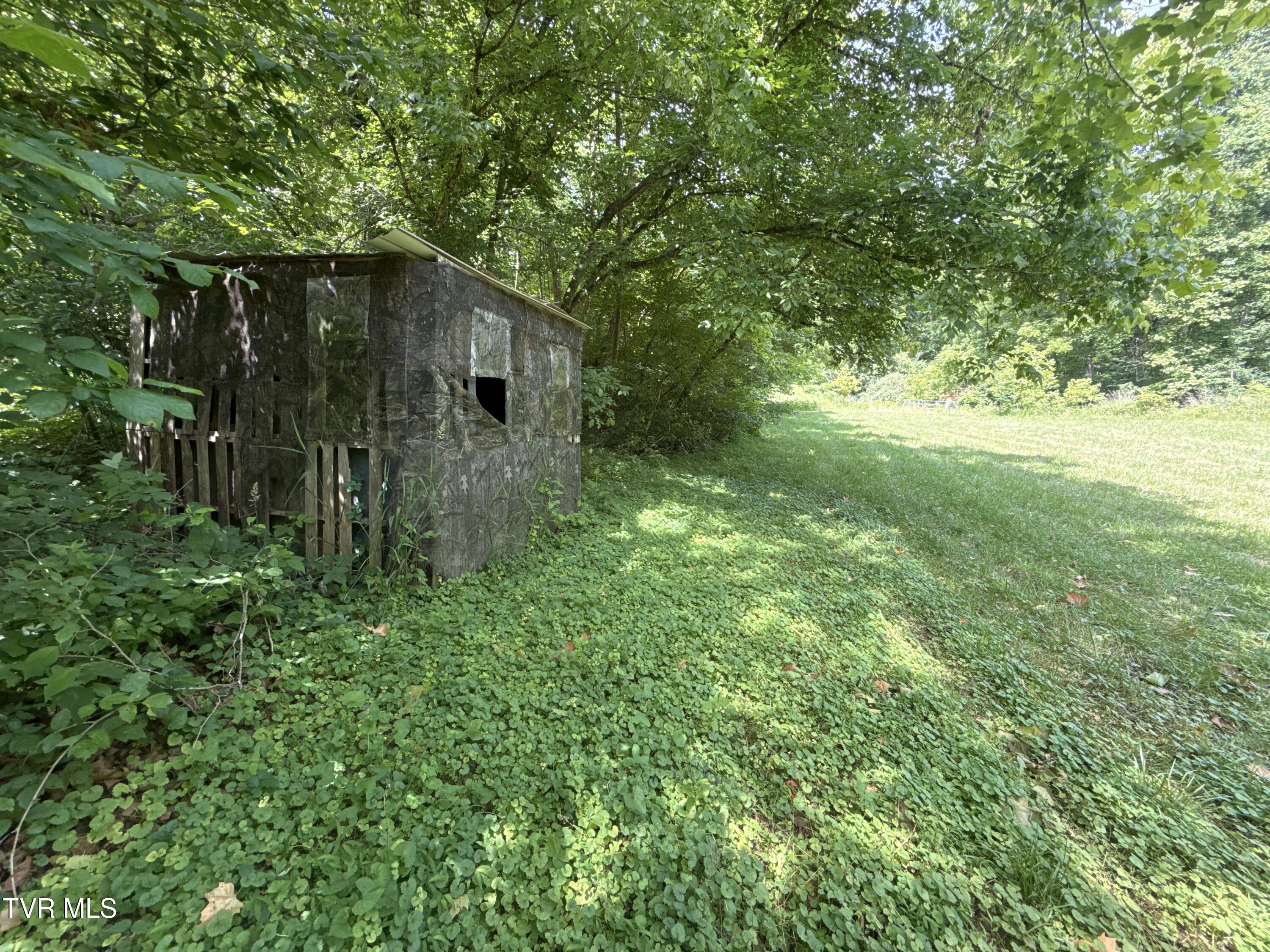 131 Gibson Hollow Road Eidson, TN 37731 - Photo 41 of 102 _Pic41 (27)