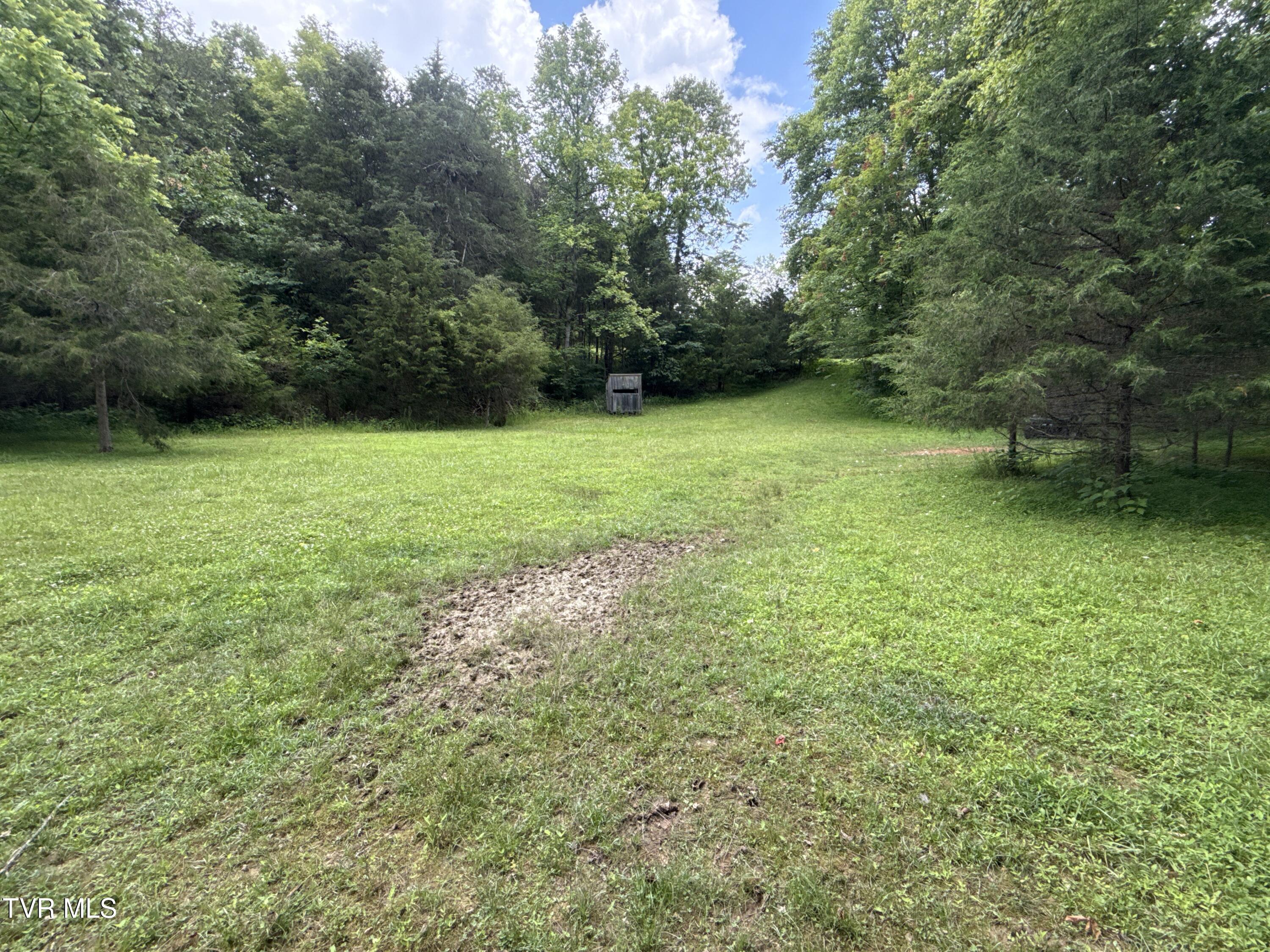 131 Gibson Hollow Road Eidson, TN 37731 - Photo 43 of 102 _Pic43 (26)