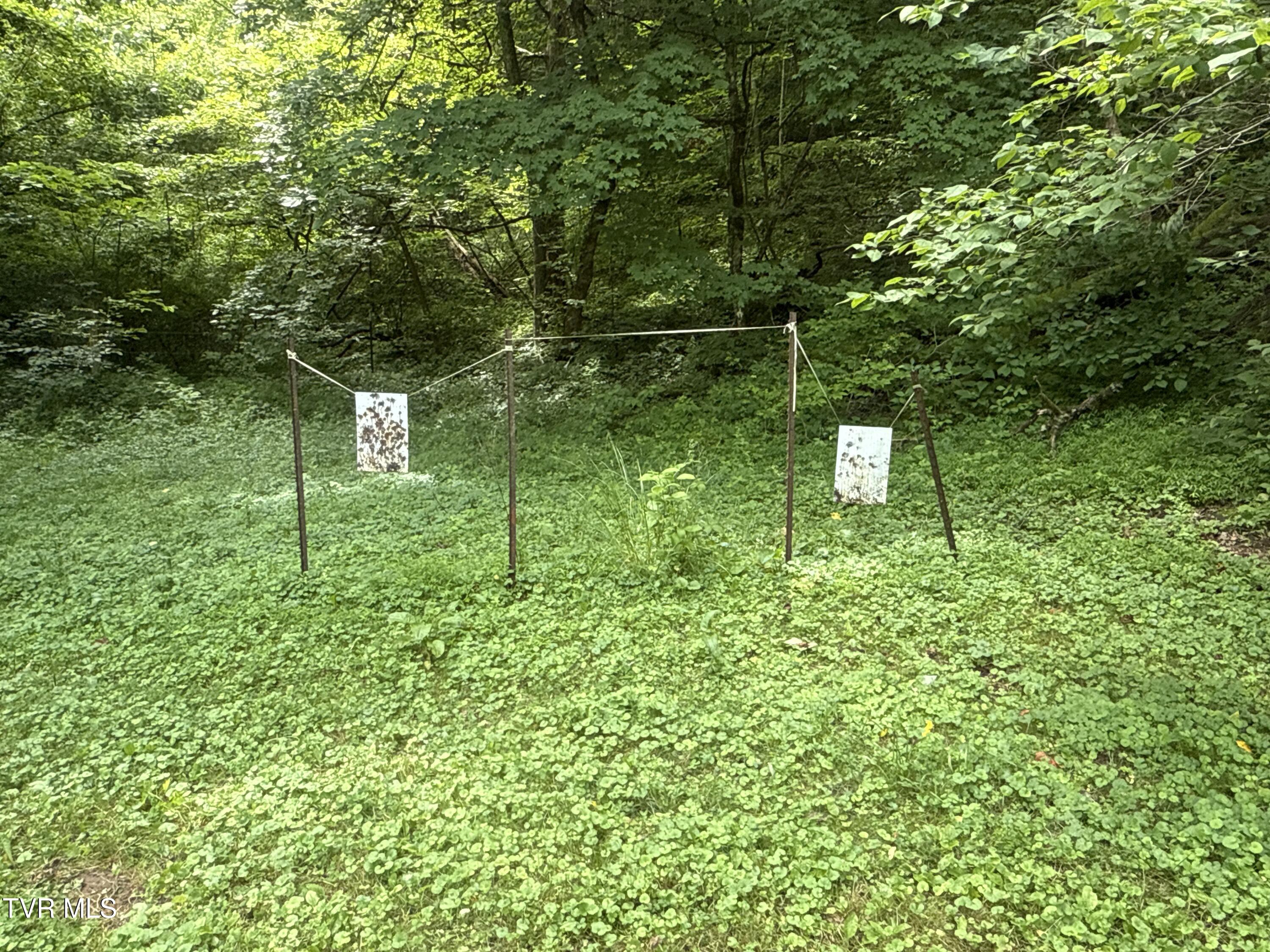 131 Gibson Hollow Road Eidson, TN 37731 - Photo 46 of 102 _Pic46 (25)