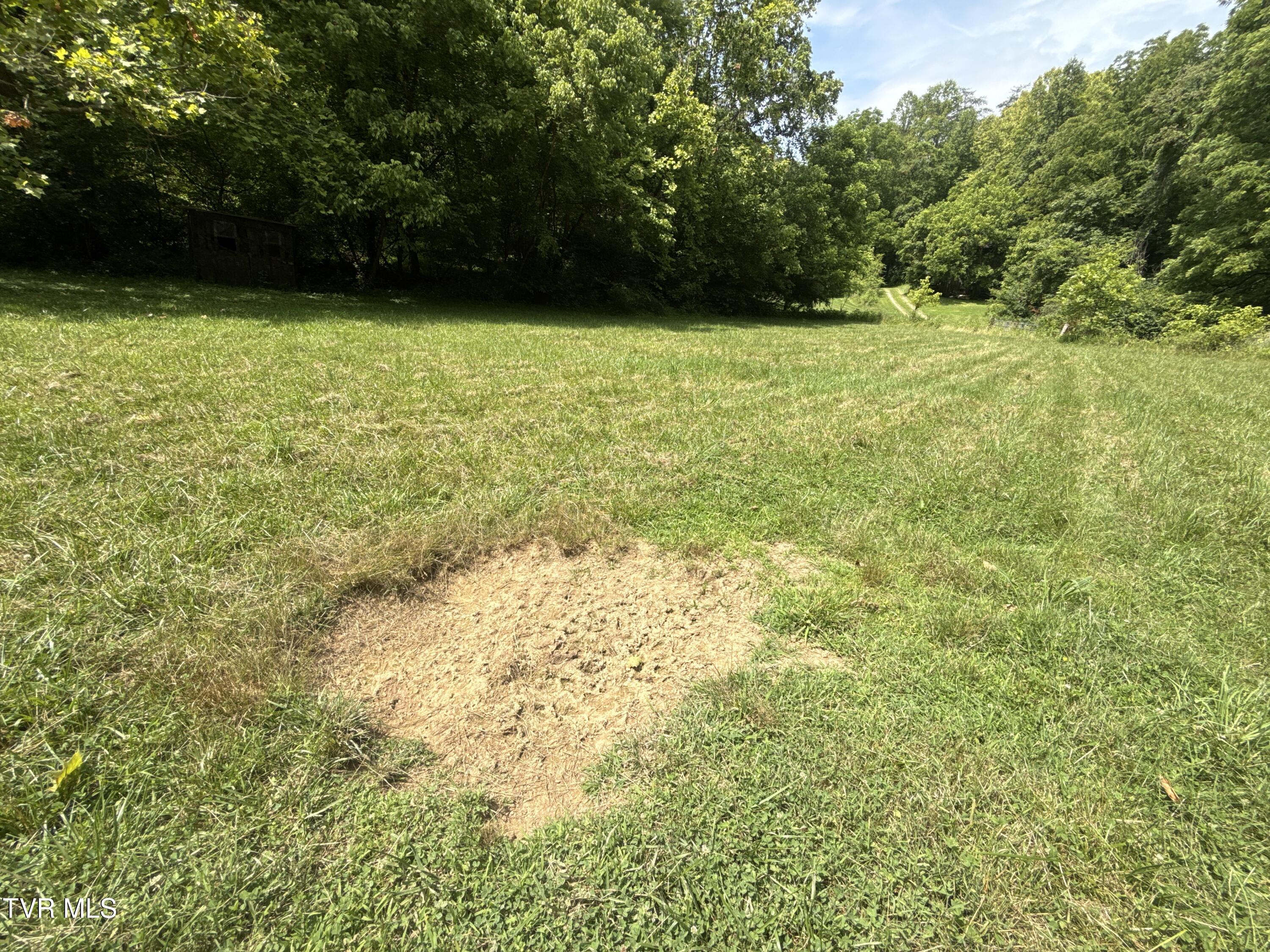 131 Gibson Hollow Road Eidson, TN 37731 - Photo 47 of 102 _Pic47 (24)