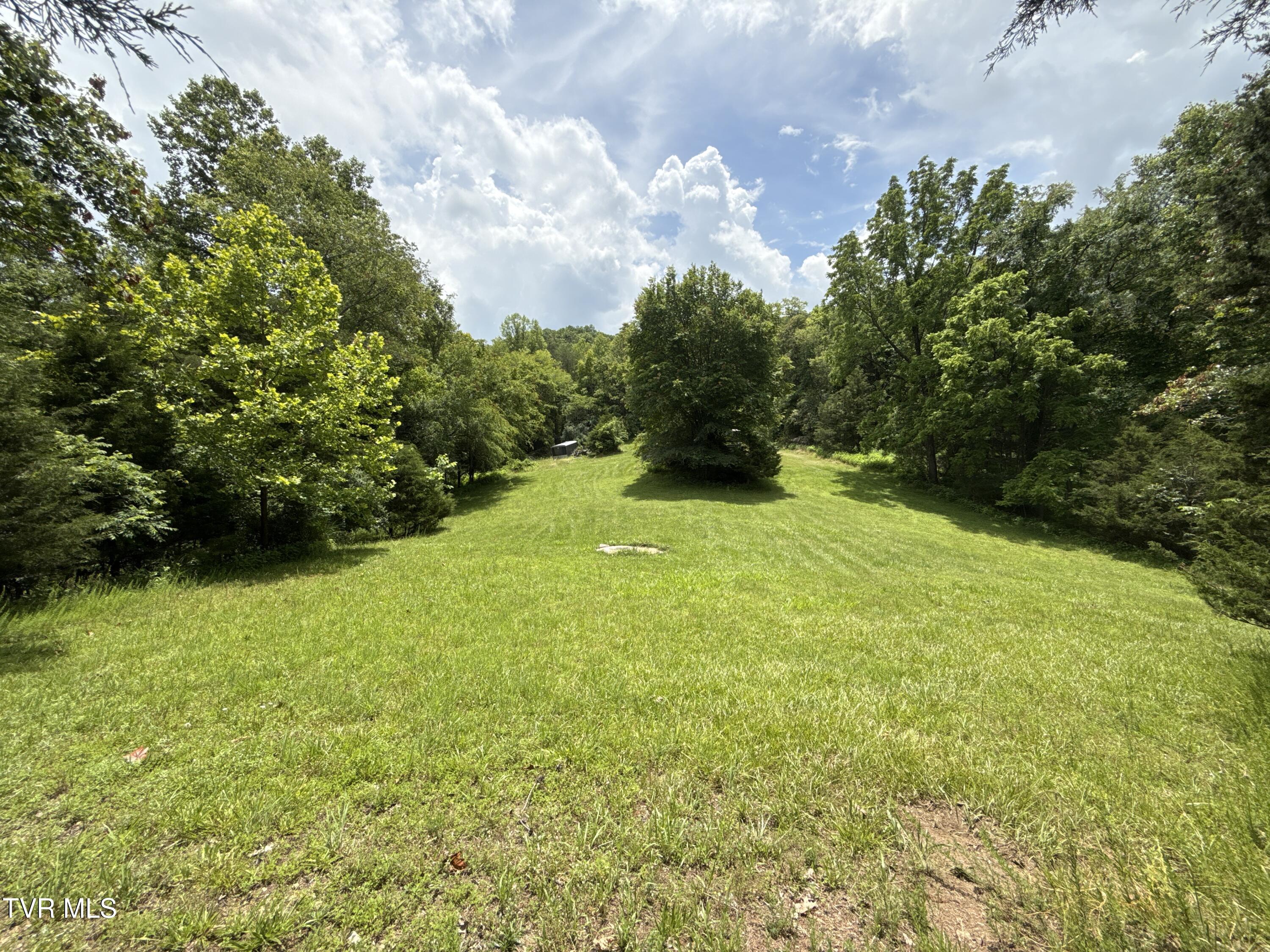 131 Gibson Hollow Road Eidson, TN 37731 - Photo 49 of 102 _Pic49 (27)