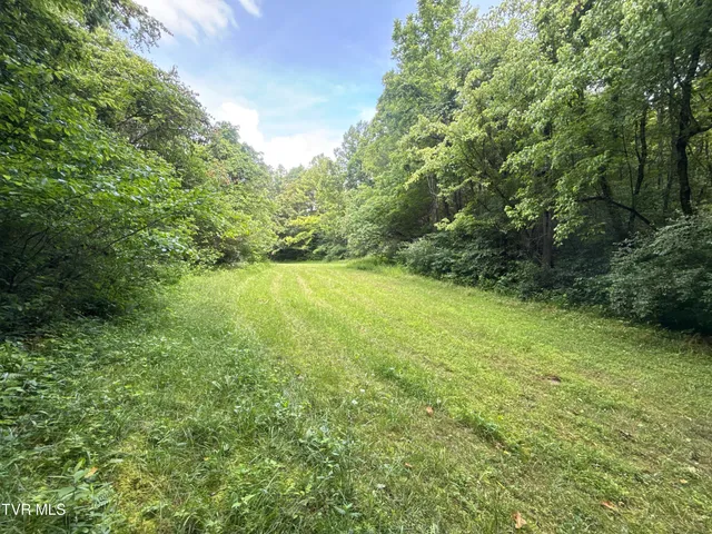 $699,900 | 131 Gibson Hollow Road, Eidson, TN 37731