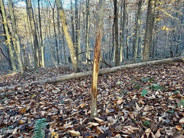 $699,900 | 131 Gibson Hollow Road, Eidson, TN 37731