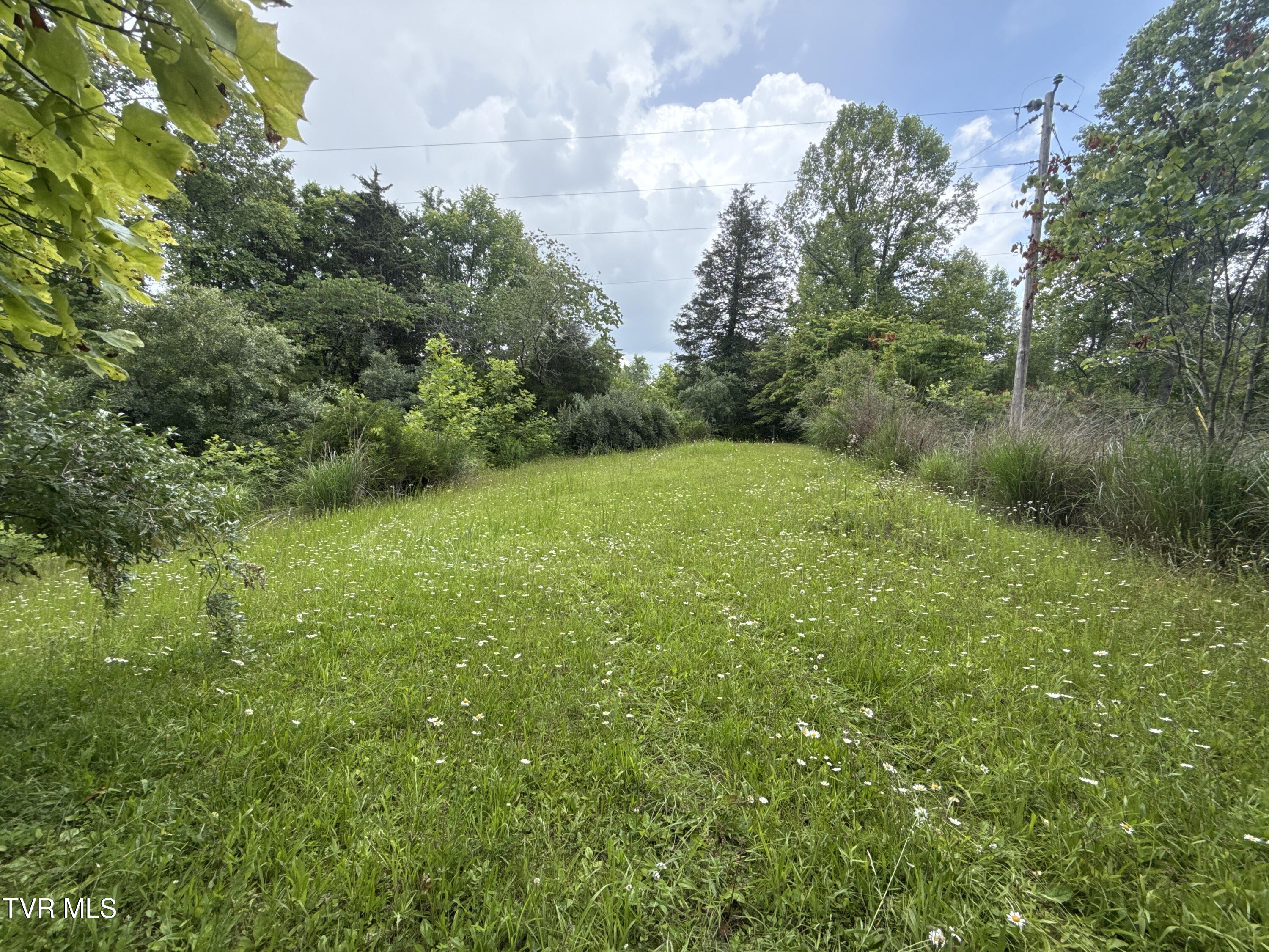 131 Gibson Hollow Road Eidson, TN 37731 - Photo 51 of 102 _Pic51 (26)