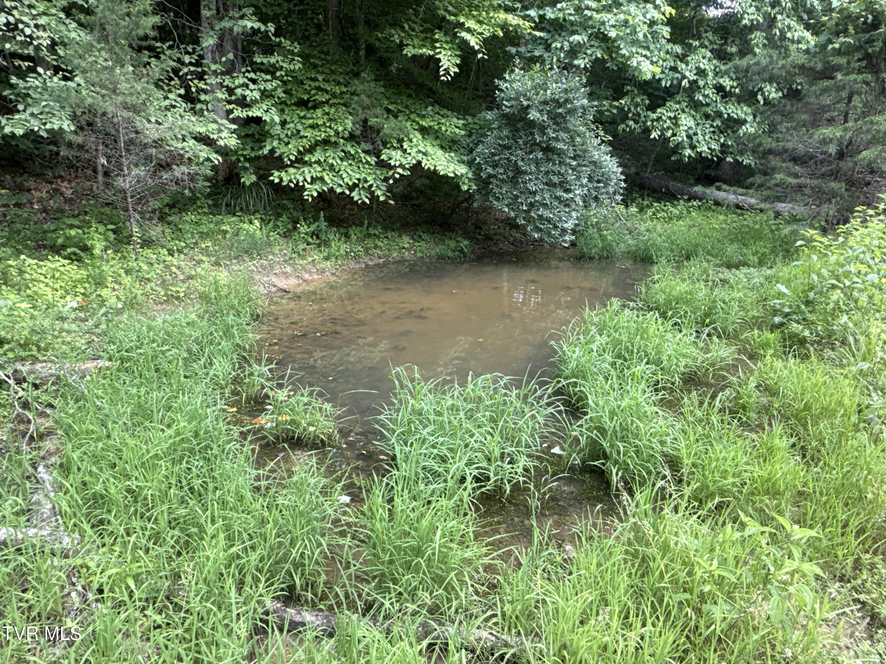 131 Gibson Hollow Road Eidson, TN 37731 - Photo 52 of 102 _Pic52 (25)