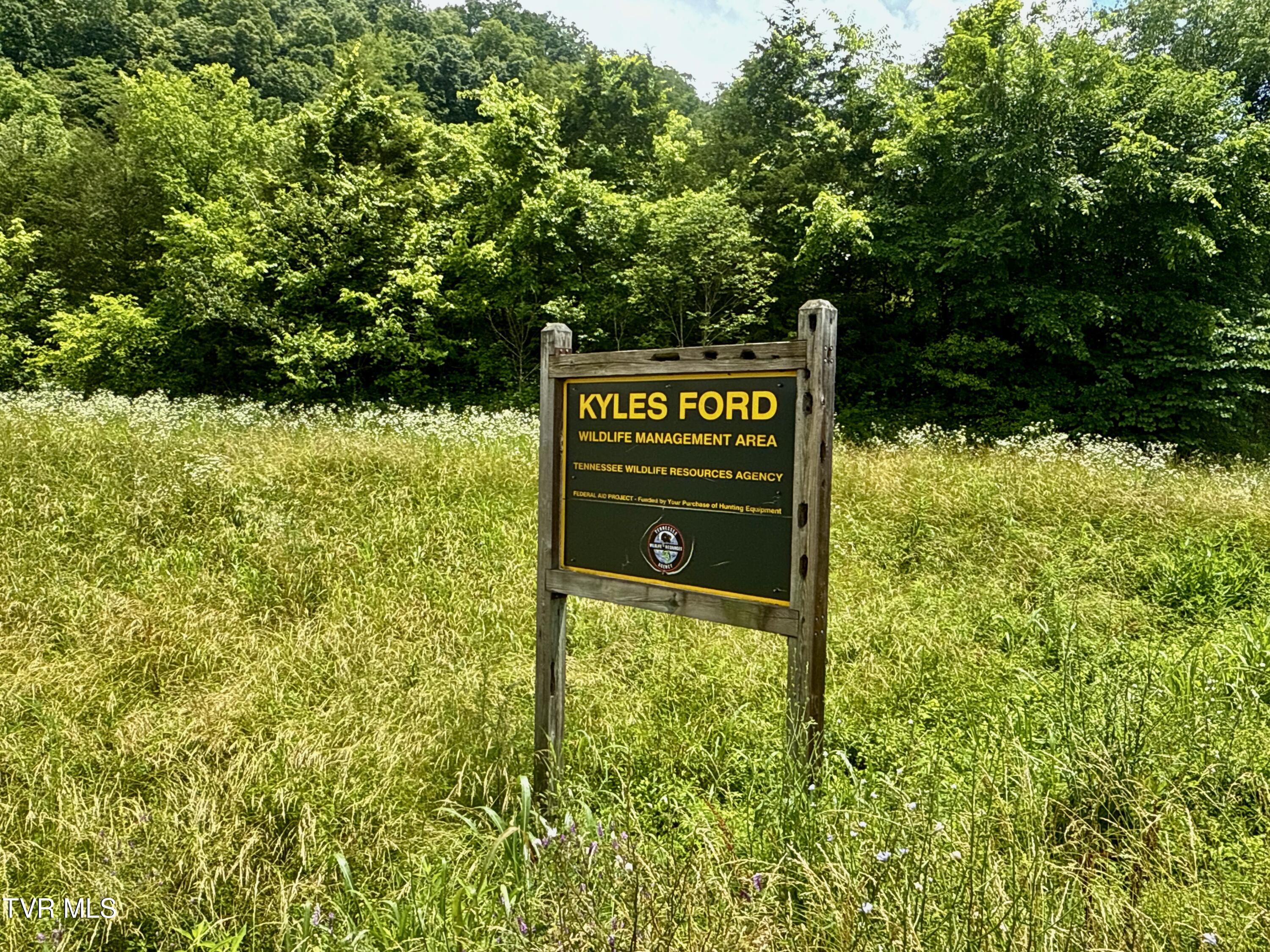 131 Gibson Hollow Road Eidson, TN 37731 - Photo 58 of 102 _Pic57 (20)