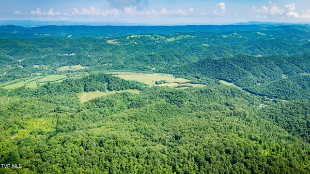 $699,900 | 131 Gibson Hollow Road, Eidson, TN 37731