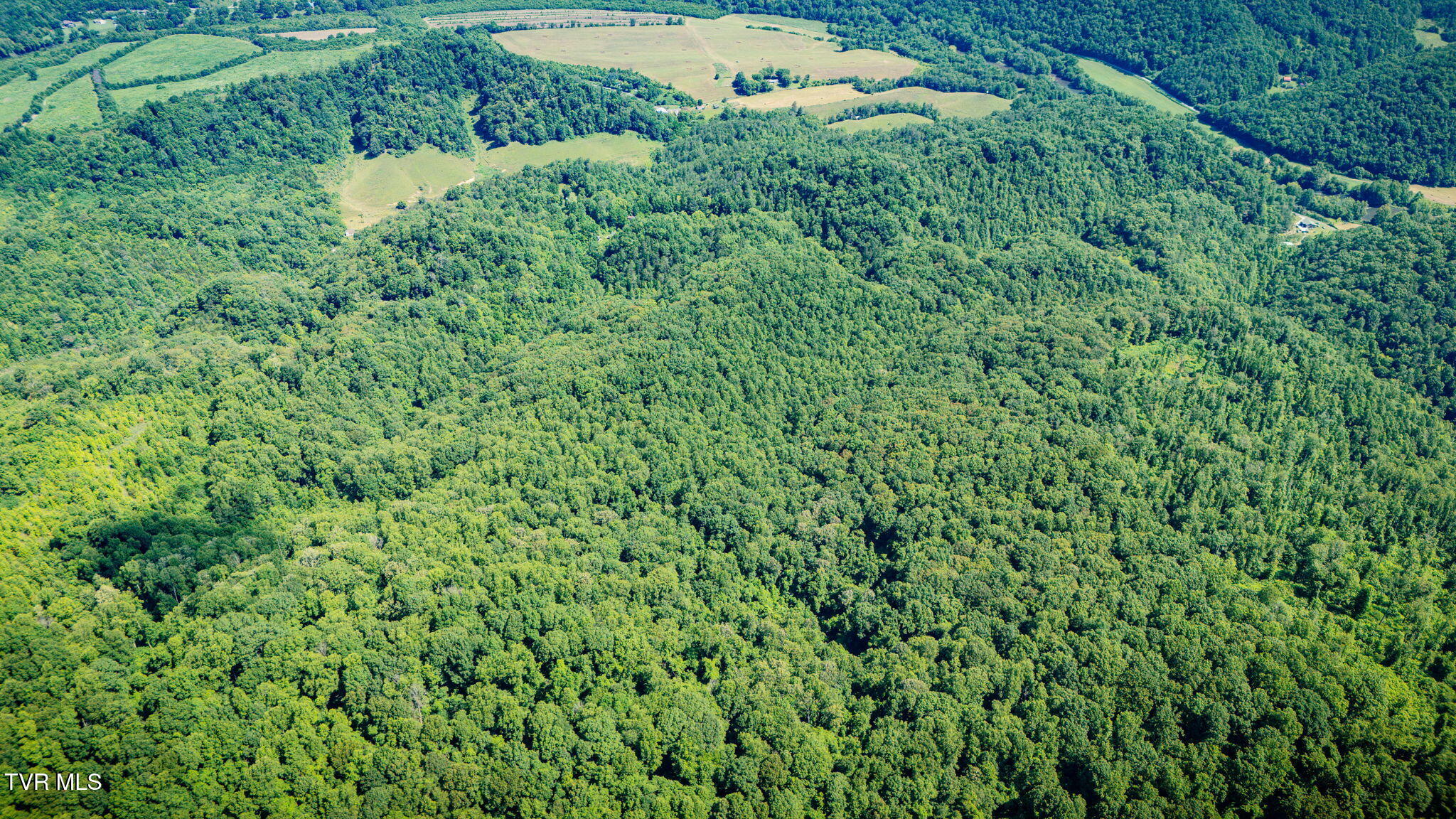 131 Gibson Hollow Road Eidson, TN 37731 - Photo 64 of 102 _Pic62 (19)