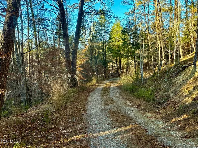 $699,900 | 131 Gibson Hollow Road, Eidson, TN 37731