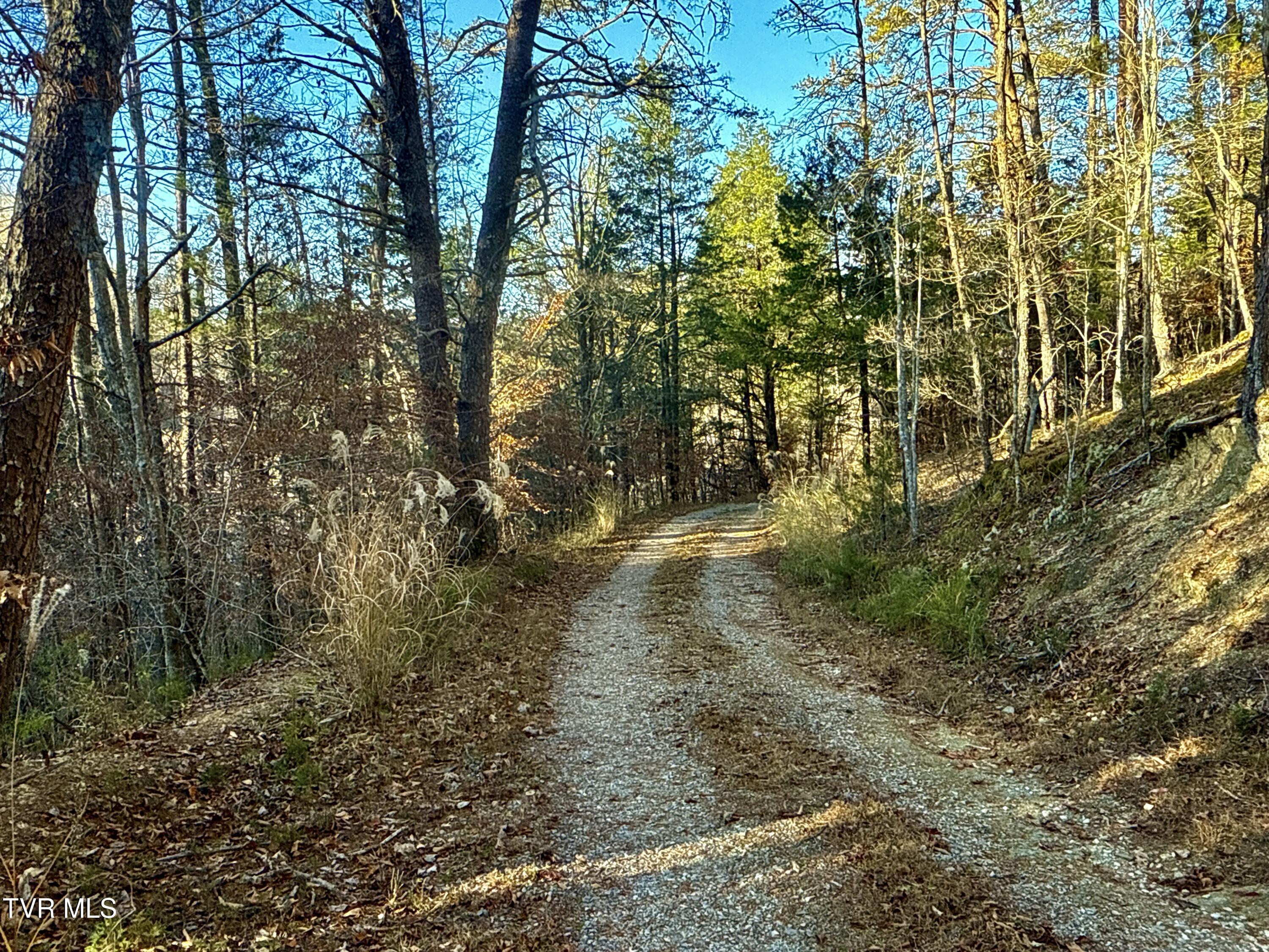 131 Gibson Hollow Road Eidson, TN 37731 - Photo 66 of 102 IMG_7487