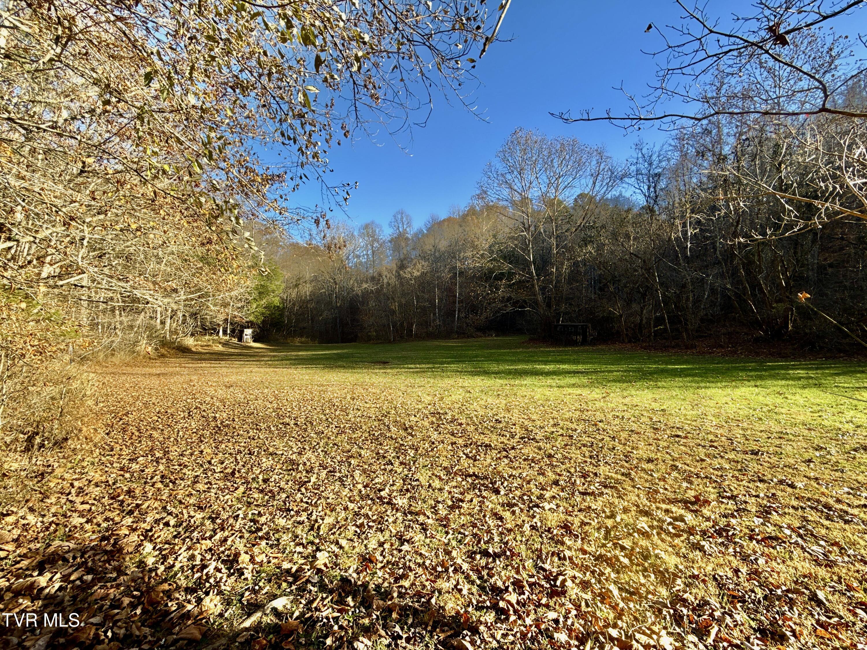 131 Gibson Hollow Road Eidson, TN 37731 - Photo 70 of 102 IMG_7483