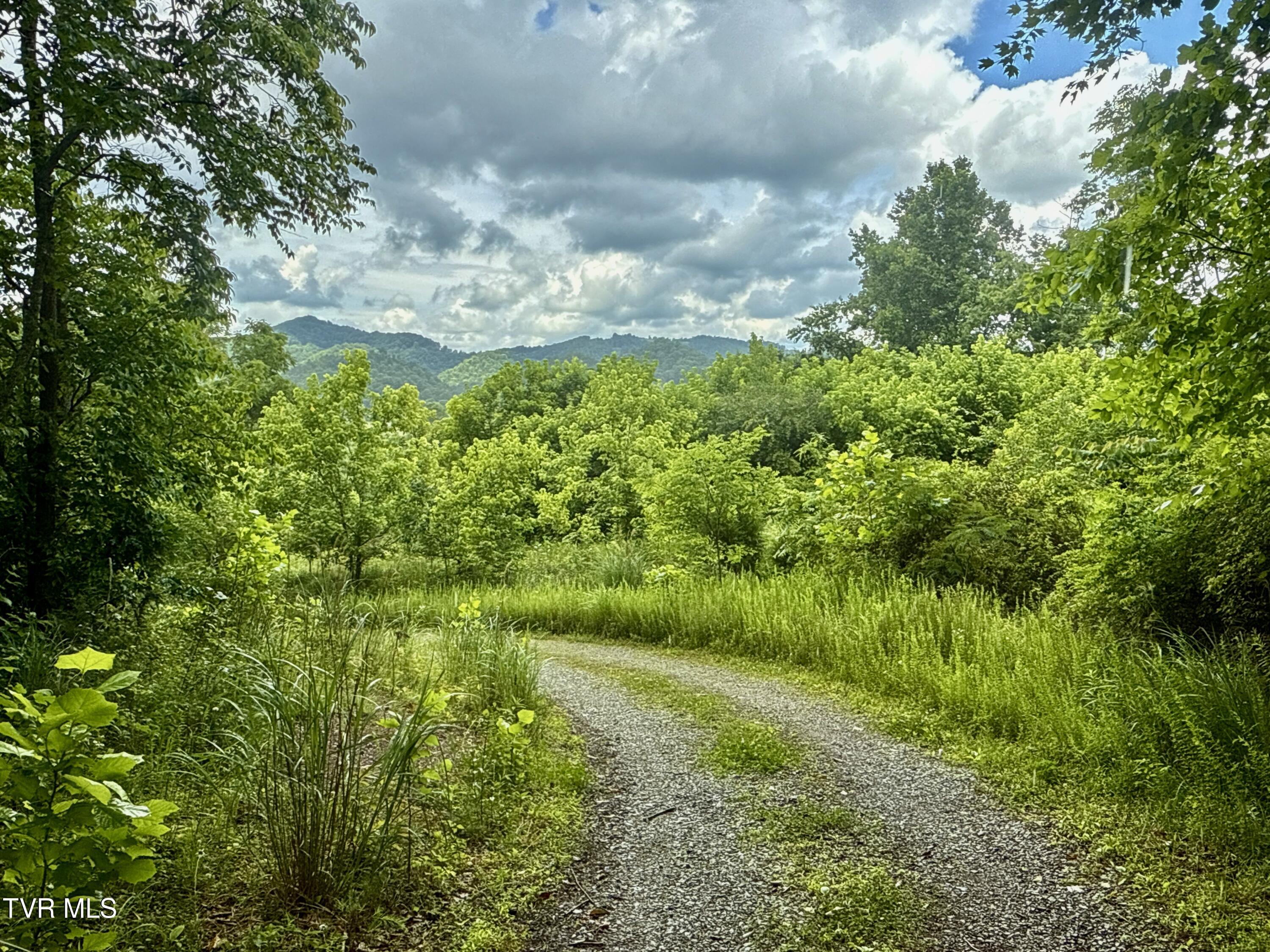 131 Gibson Hollow Road Eidson, TN 37731 - Photo 7 of 102 _Pic7 (64)