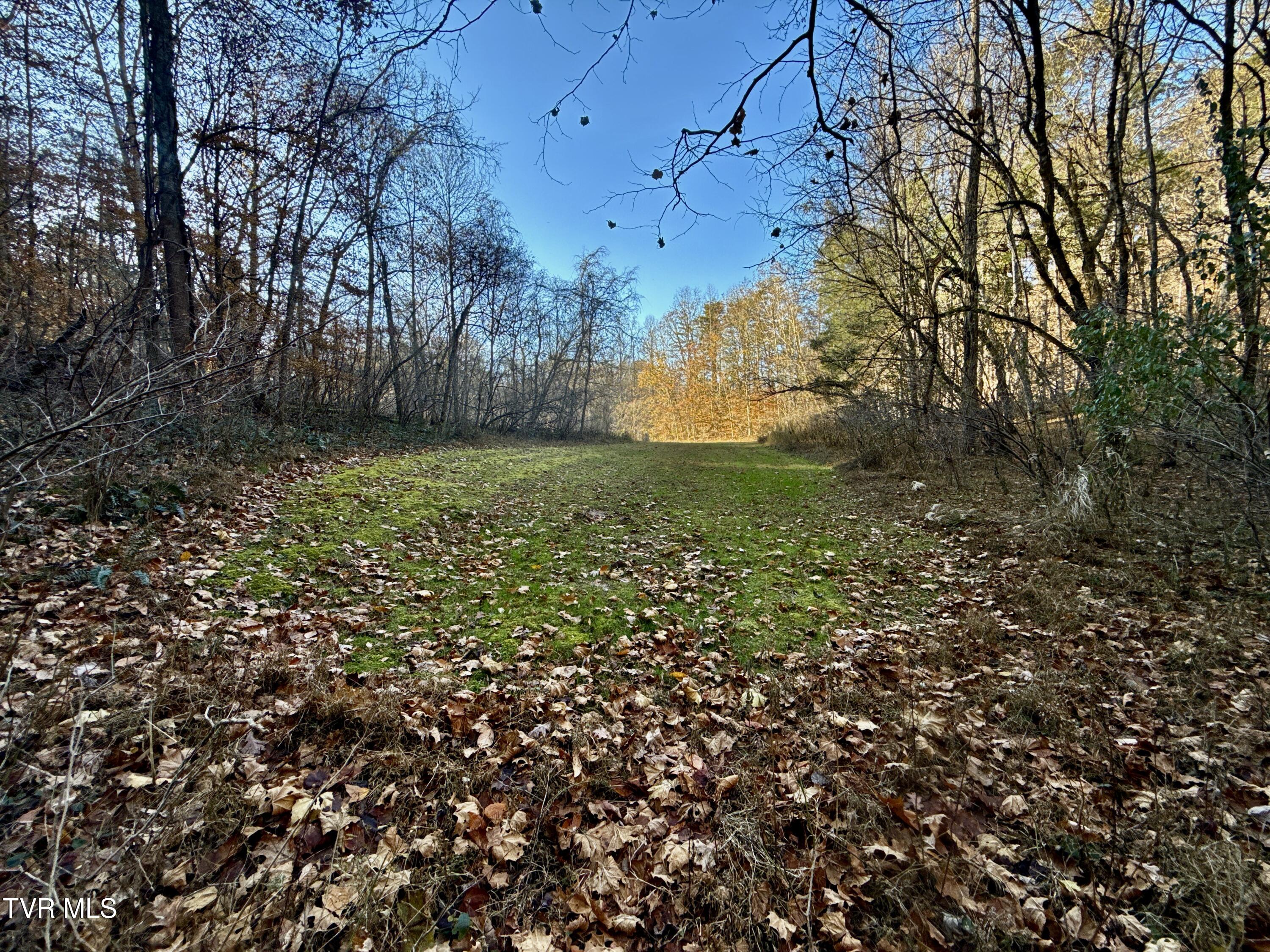 131 Gibson Hollow Road Eidson, TN 37731 - Photo 72 of 102 IMG_7481