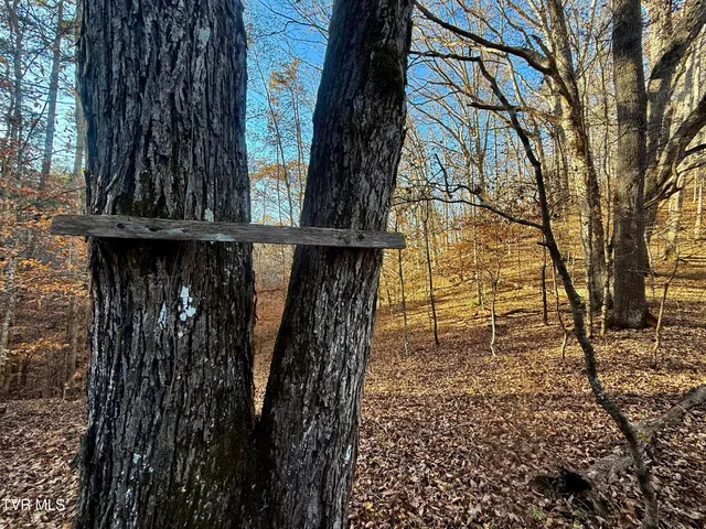 $699,900 | 131 Gibson Hollow Road, Eidson, TN 37731