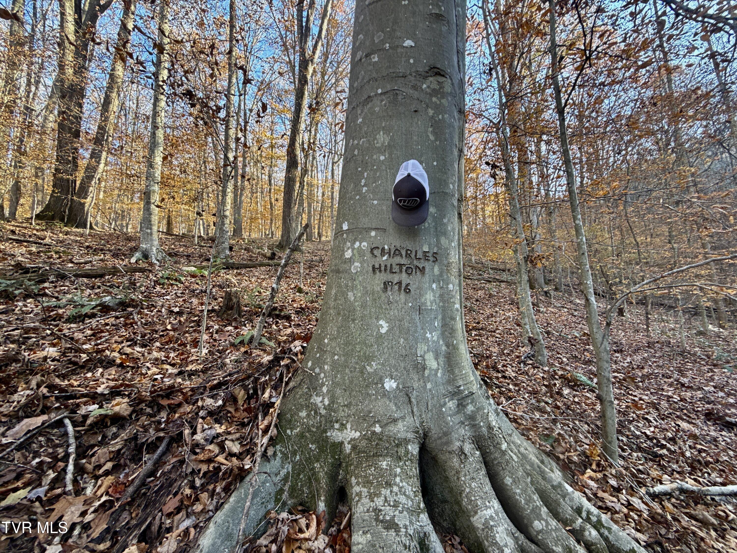 131 Gibson Hollow Road Eidson, TN 37731 - Photo 76 of 102 IMG_7471