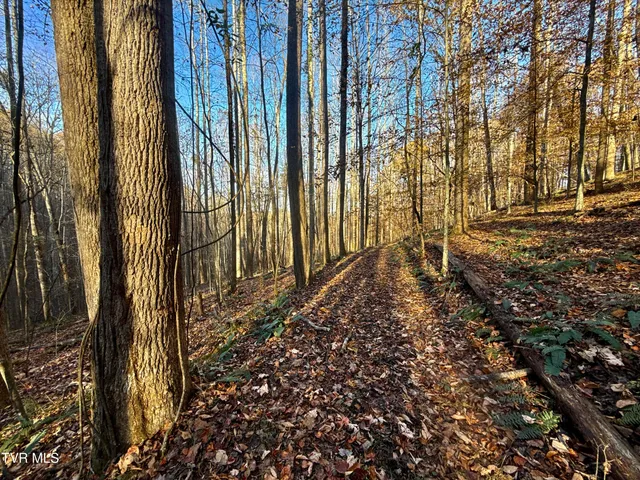 $699,900 | 131 Gibson Hollow Road, Eidson, TN 37731