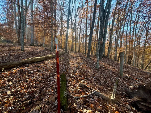 $699,900 | 131 Gibson Hollow Road, Eidson, TN 37731