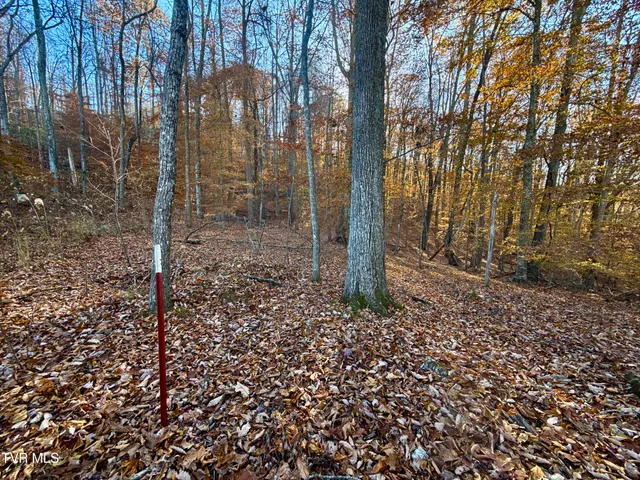 $699,900 | 131 Gibson Hollow Road, Eidson, TN 37731