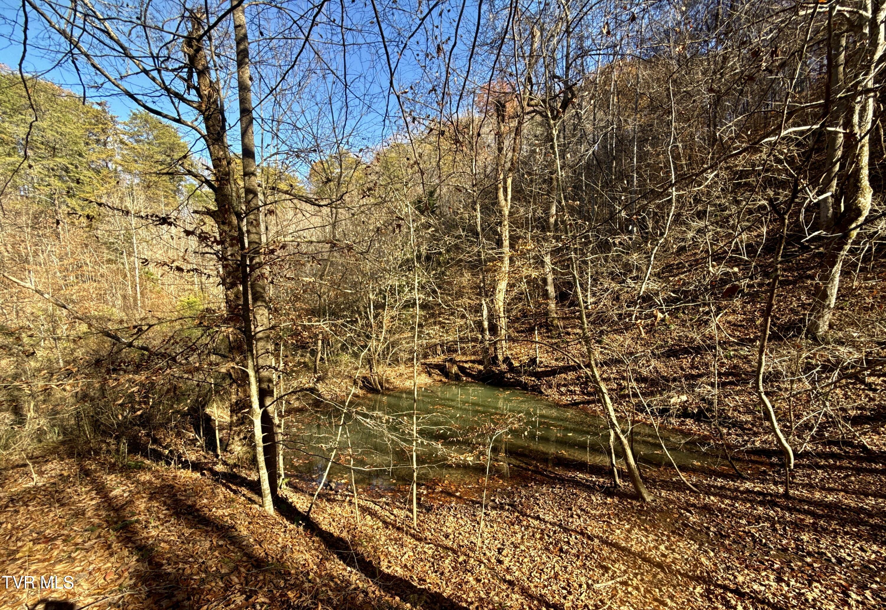 131 Gibson Hollow Road Eidson, TN 37731 - Photo 95 of 102 IMG_7449