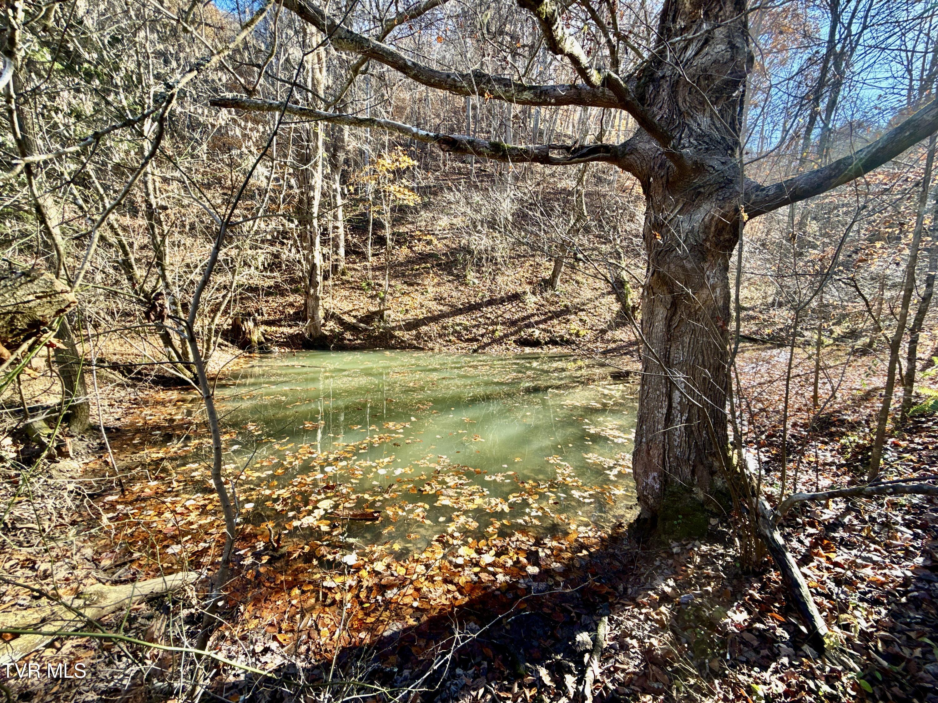 131 Gibson Hollow Road Eidson, TN 37731 - Photo 97 of 102 IMG_7448